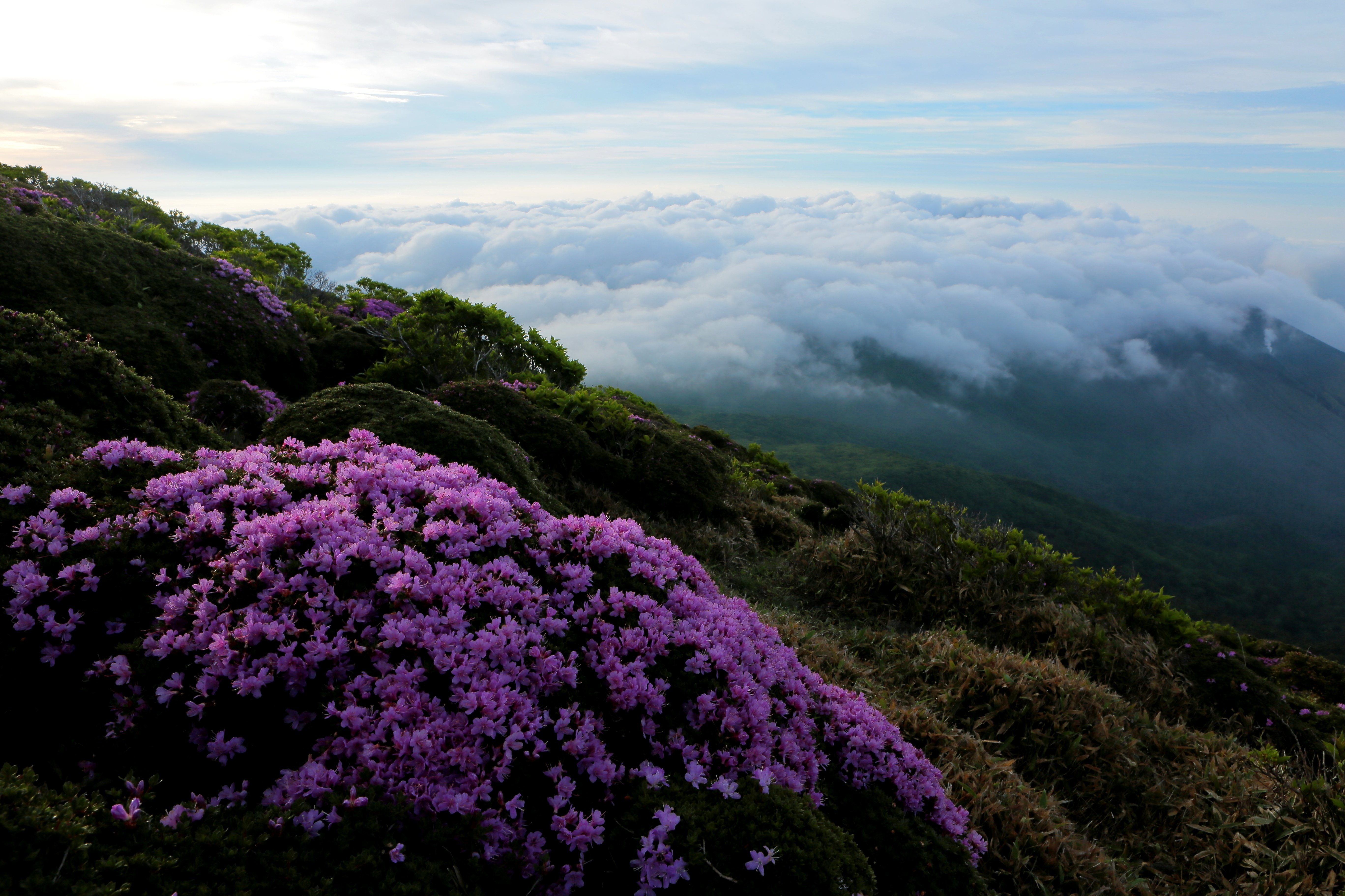 韓国岳の雲海（2019年7月9日記）｜風景写真 四季の山旅