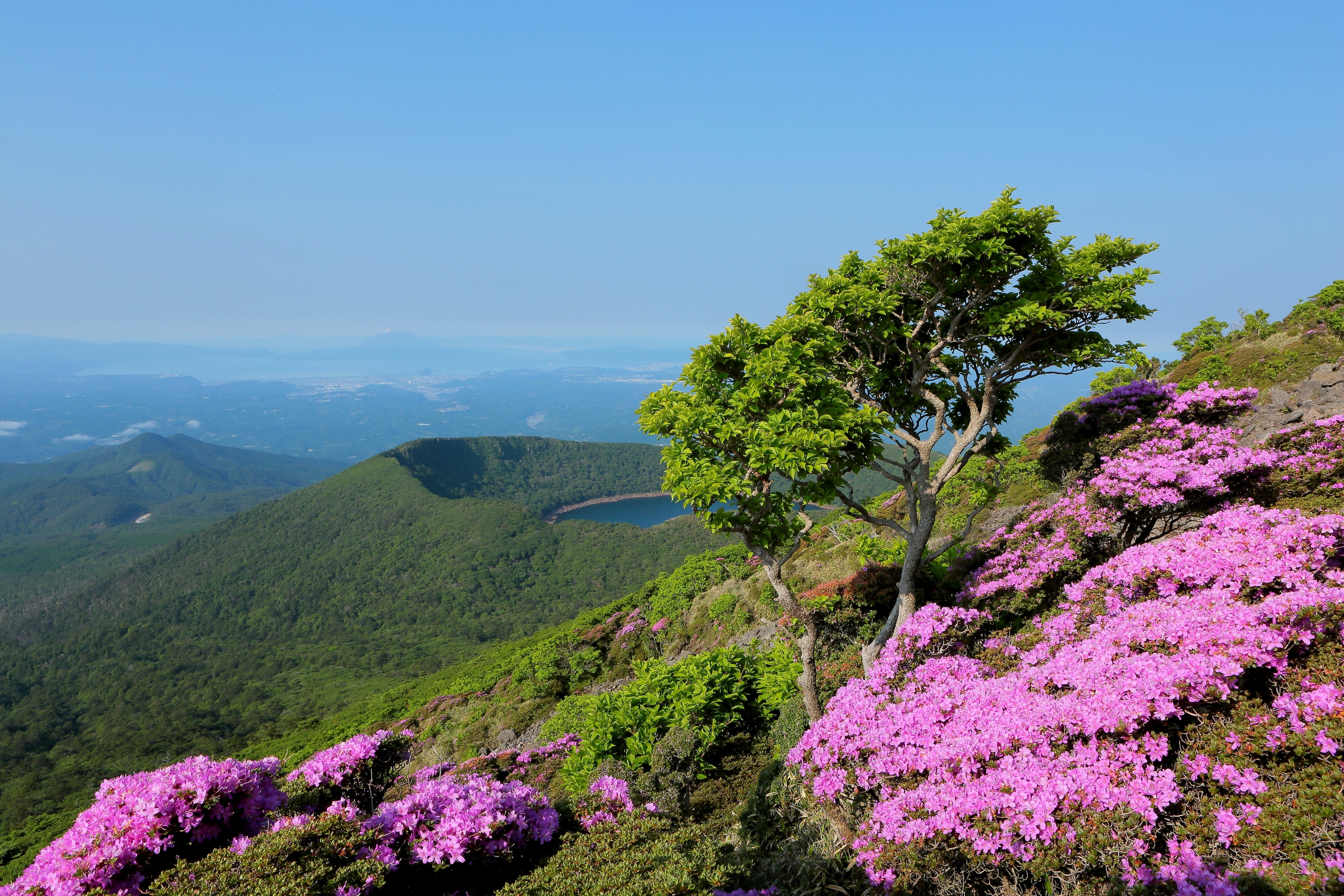 1699 外国切手 韓国 風景 山岳 四季 美しい切手 4セットまとめ 4K映像 絶景「八ヶ岳の四季1春」桜 日本の美しい四季 長野県