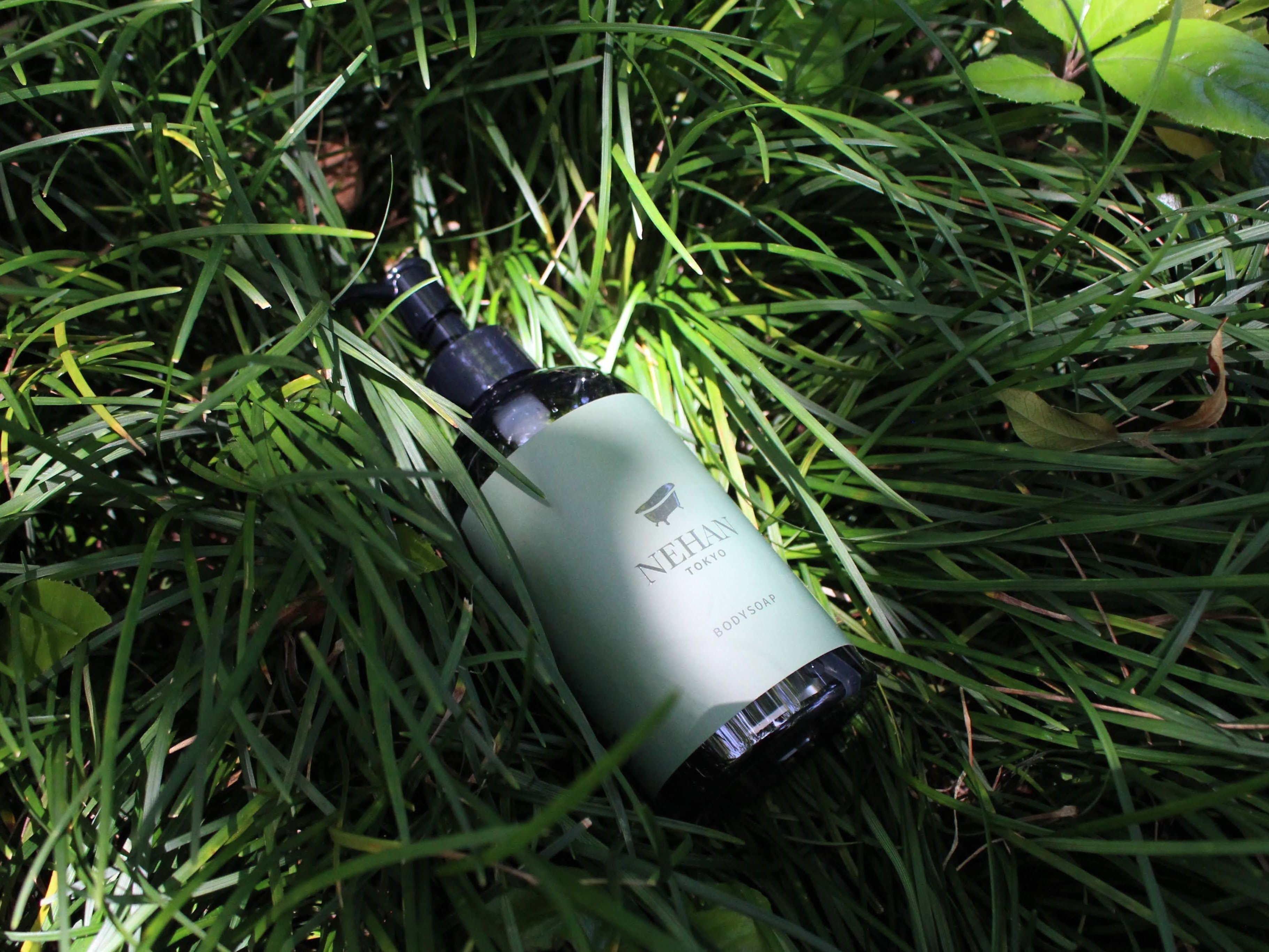 夏季限定】NEHANが提案する ひんやり新感覚！夏の新製品 SUMMER COLLECTION