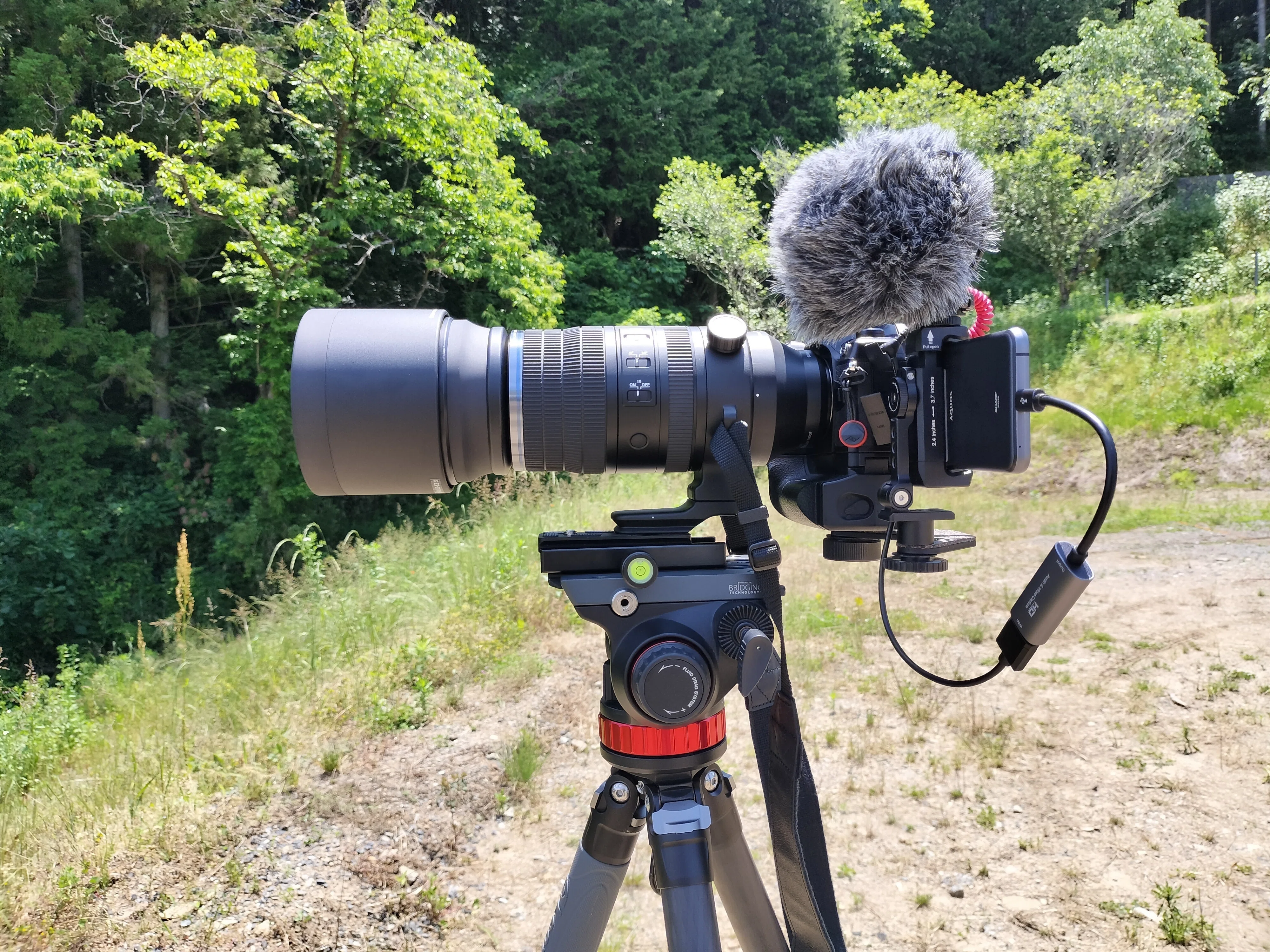 M.ZUIKO DIGITAL ED 150-600mm F5.0-6.3 IS 使用してきました