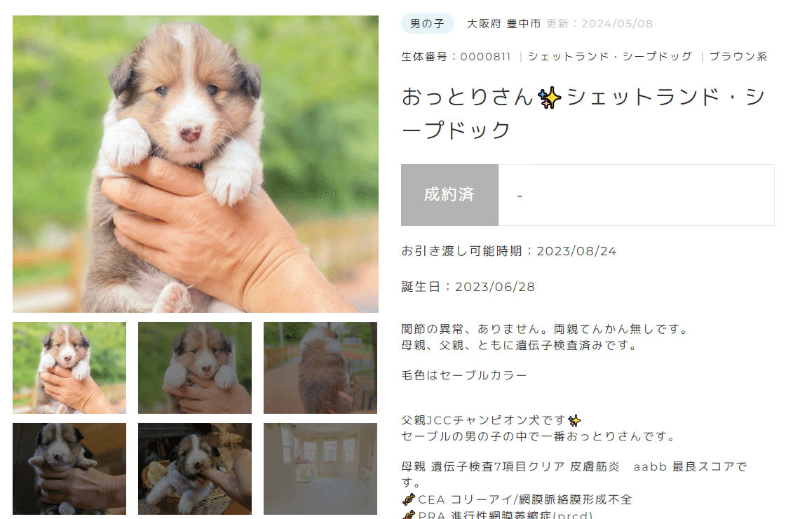 犬のブリーディングテク 獣医 繁殖（基礎から学ぶ犬の繁殖
