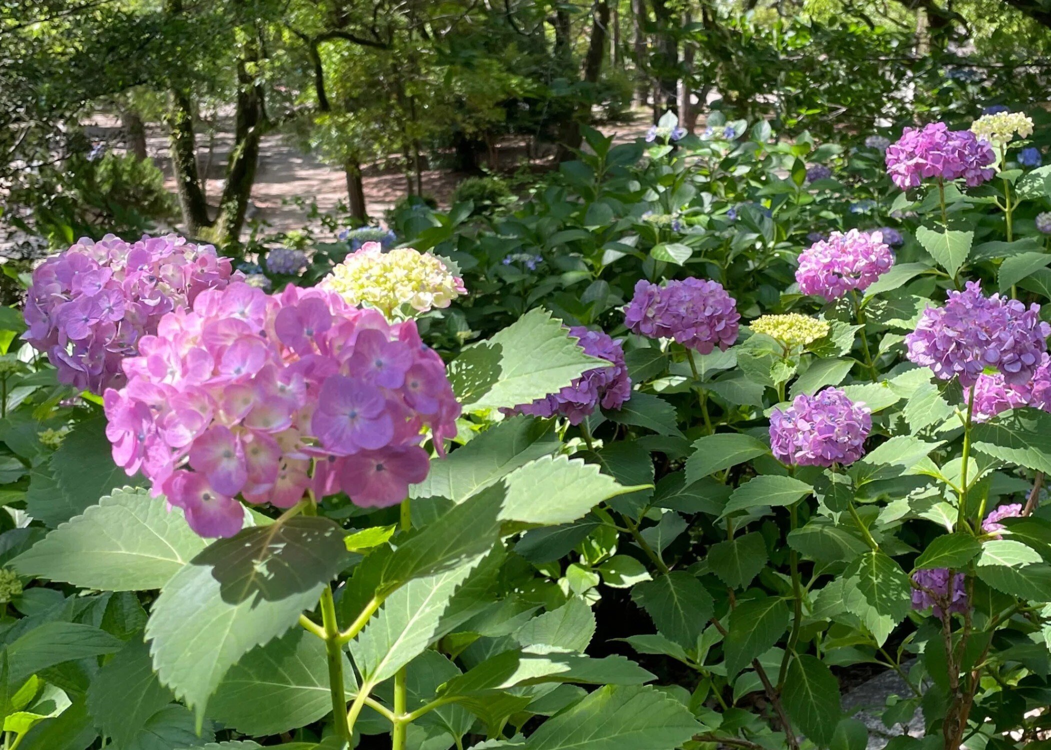 オードリーのオールナイトニッポン15周年展＆鶴舞公園お散歩｜yuko