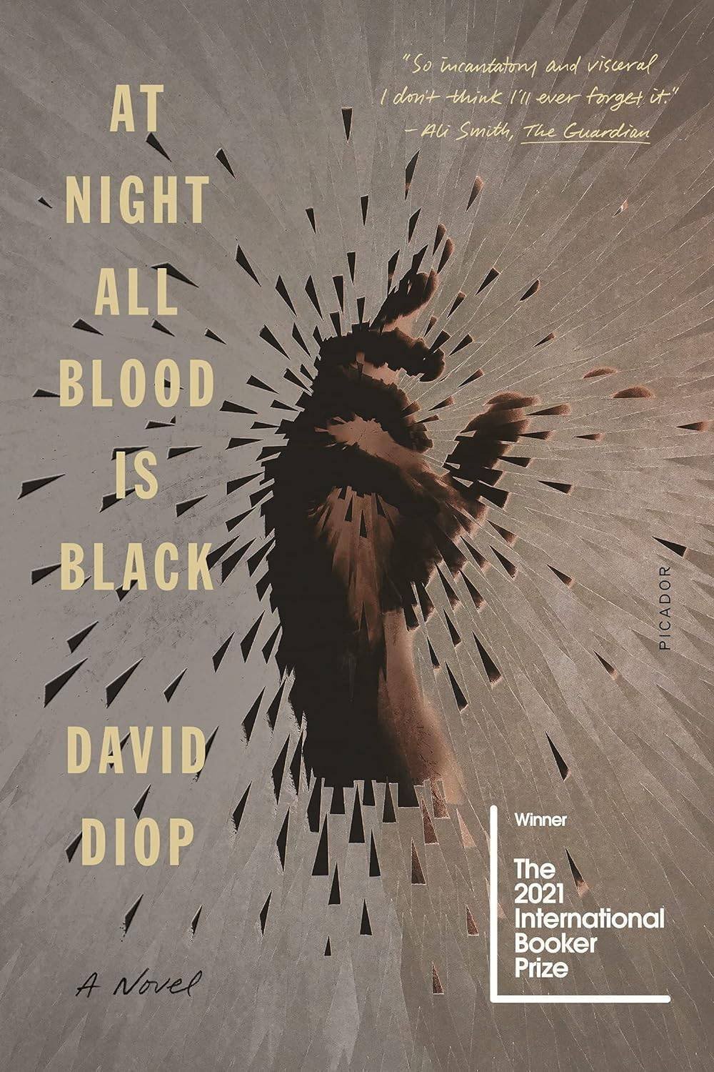 書評『夜、すべての血は黒い』ダヴィド・ディオップ著 - 日本
