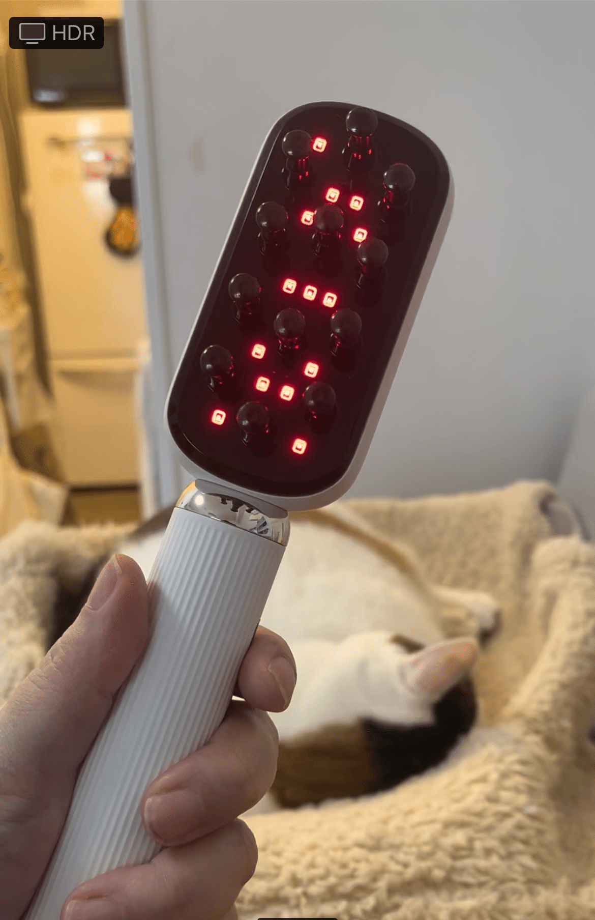 商品レビュー】ペット用の美容器登場! Chuccca dry spa 商品レビュー】ペット用の美容器登場! Chuccca dry spa