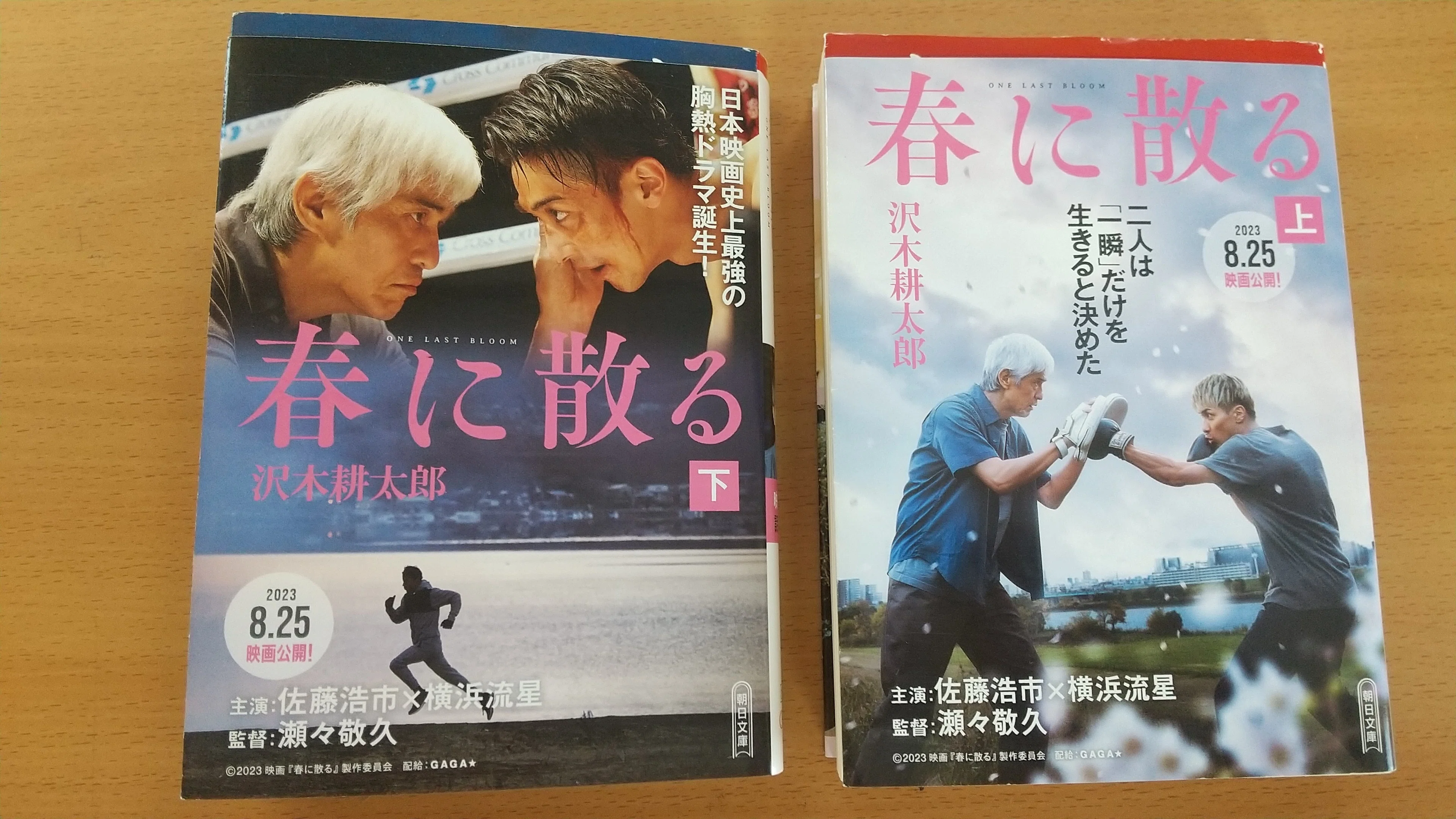読書日記「春に散る」を読み終わる｜そら