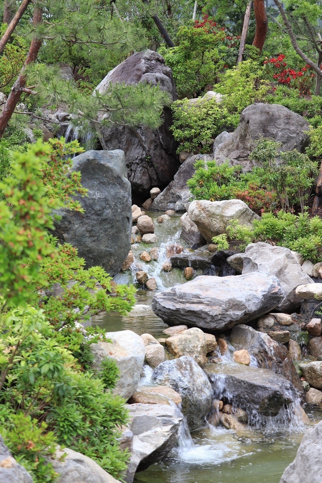 三宮駅の南、徒歩5分に「森」出現！ 磯上公園が生まれ変わりました