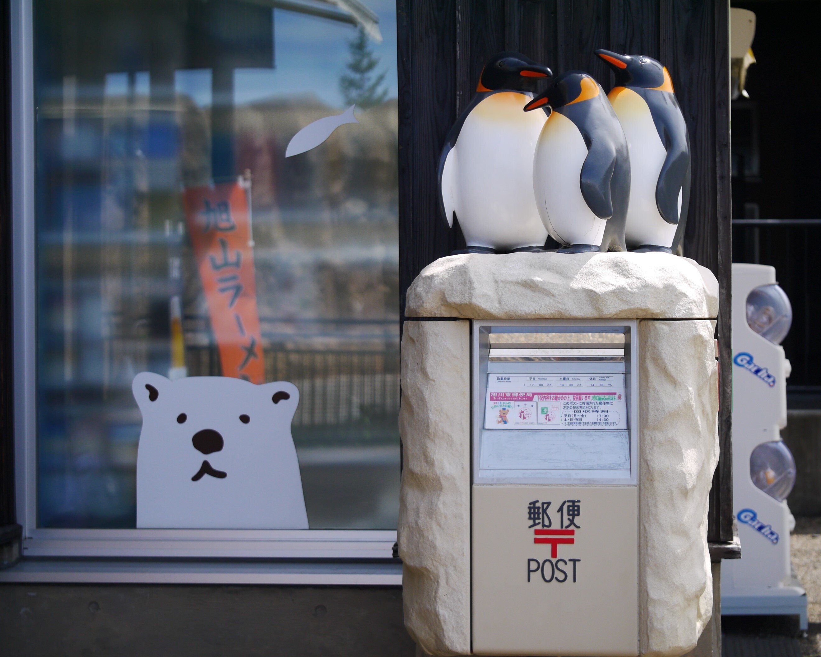 旅行写真 旭山動物園｜sion