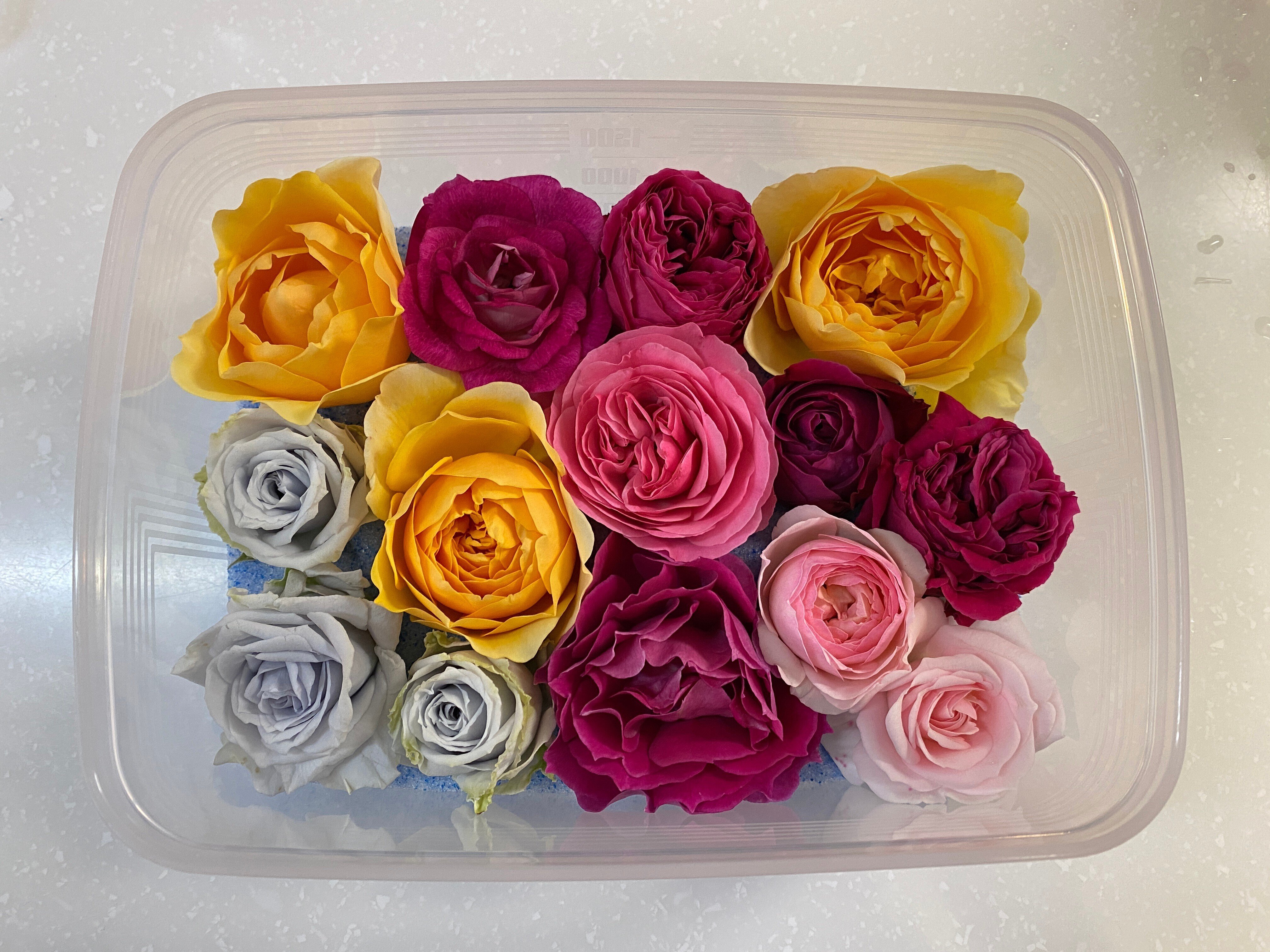 あれから3週間、ドライフラワーのその後🌹｜いでのりこ