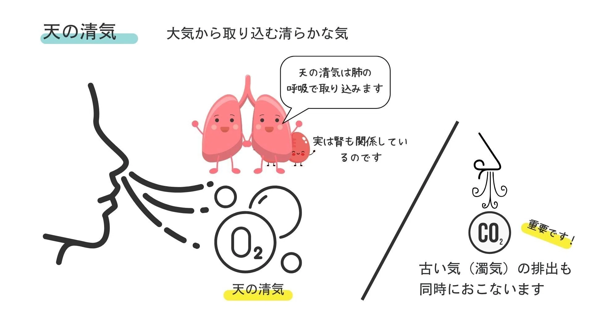 【中医基礎理論 第17講】 – 精気学説が中医学に与えた影響 神を添えて – - 鍼灸cafe