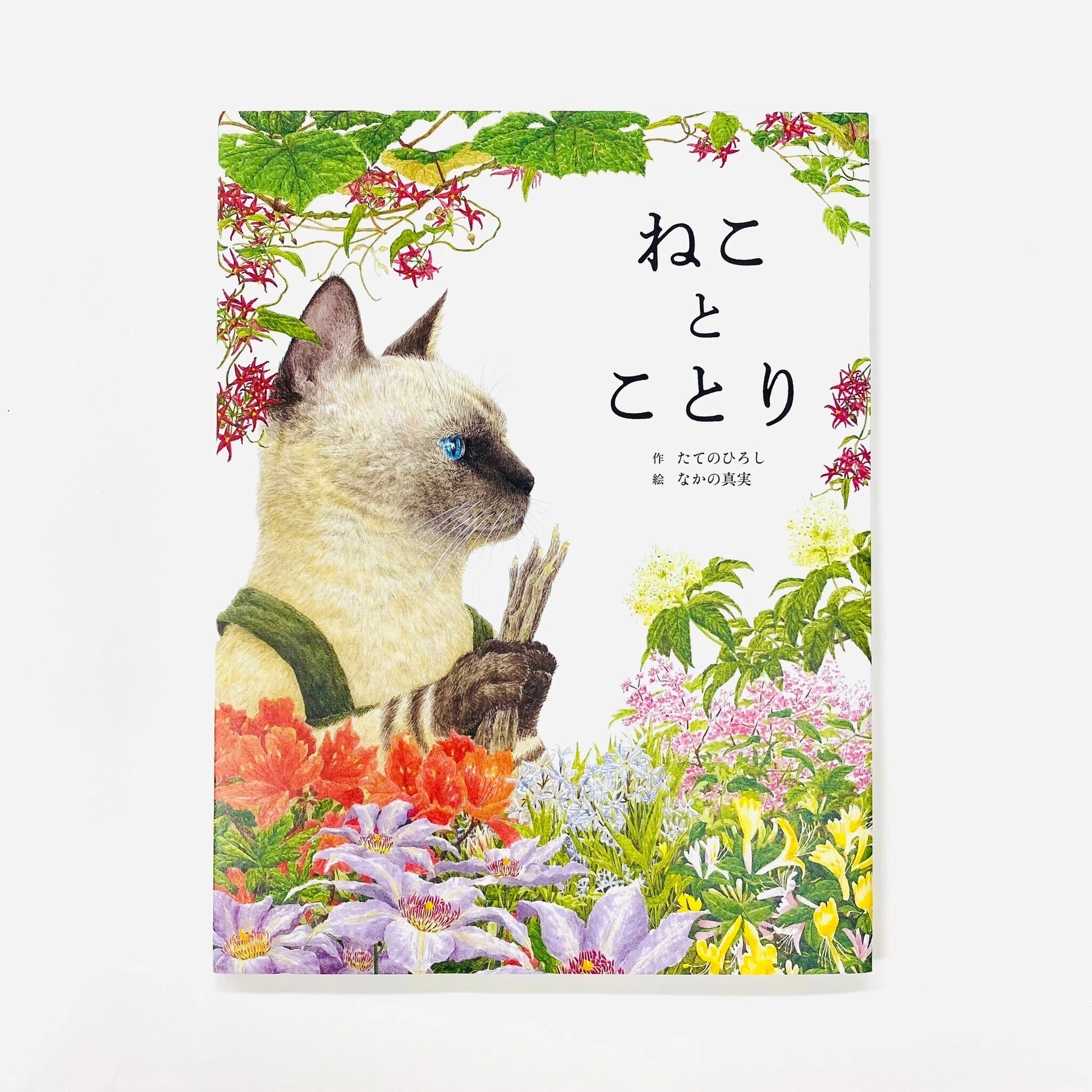 絵本『ねことことり』2022年10月4日発売｜なかの真実