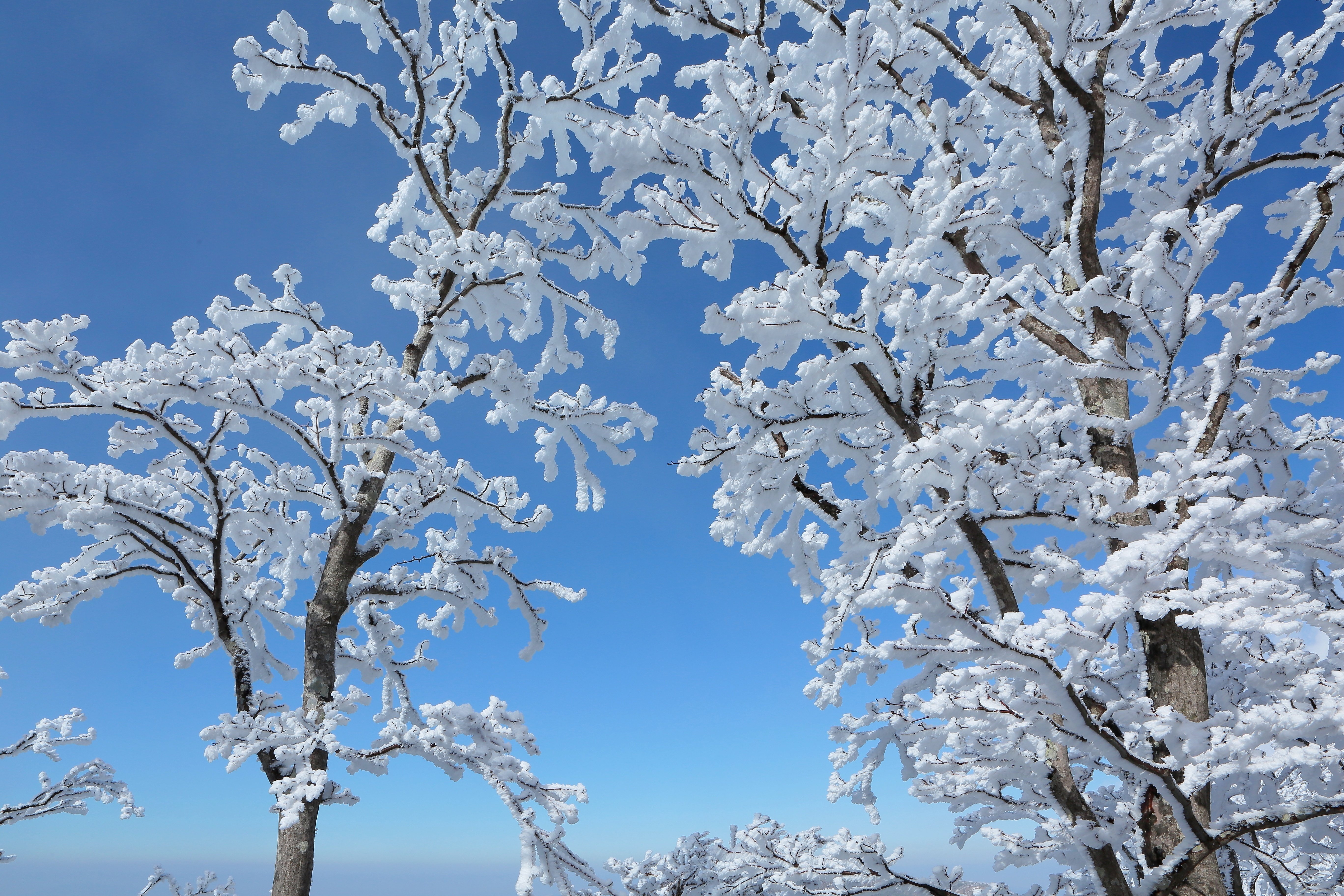 韓国岳の雪景色（2022年12月20日記）｜風景写真 四季の山旅