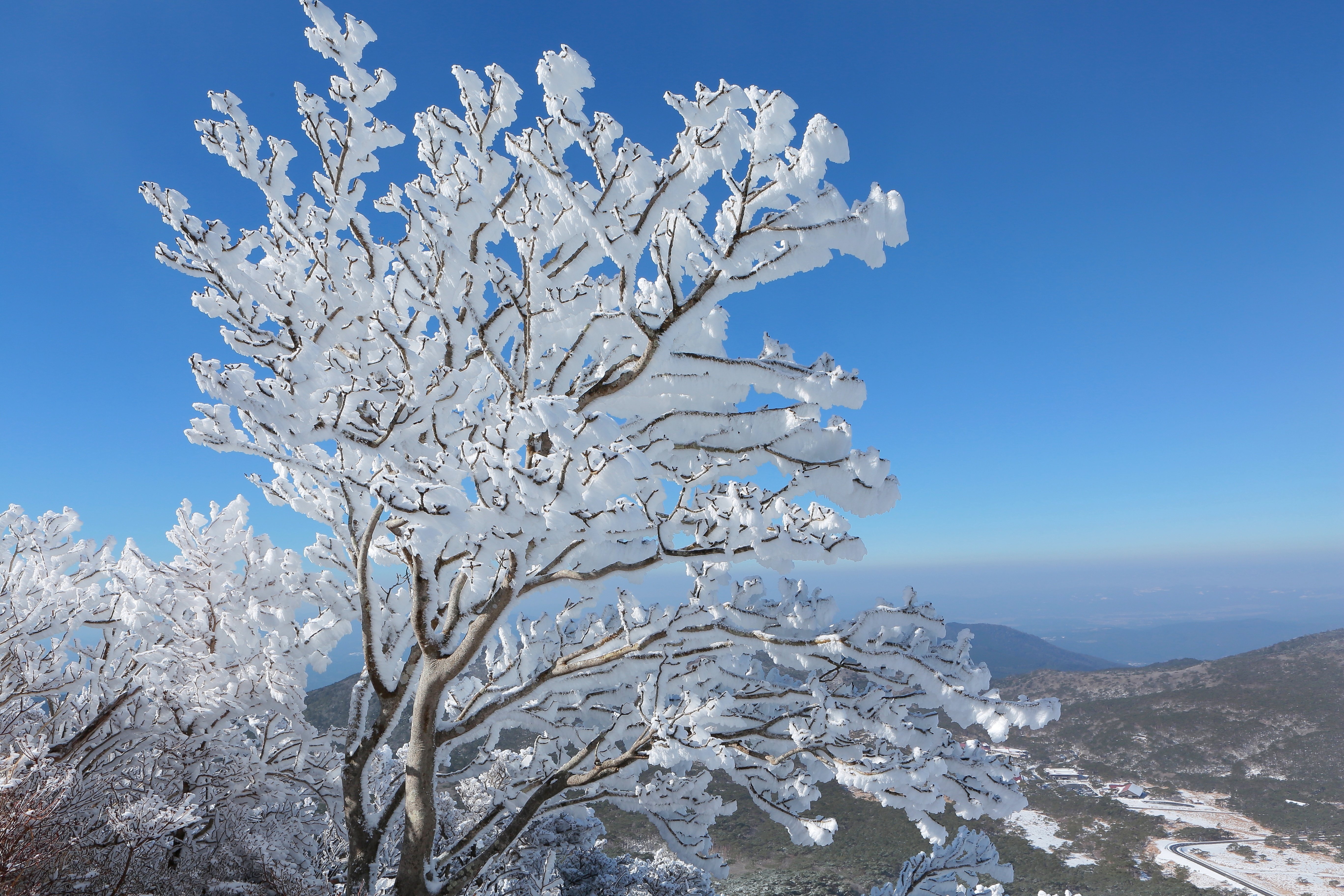 韓国岳の雪景色（2022年12月20日記）｜風景写真 四季の山旅