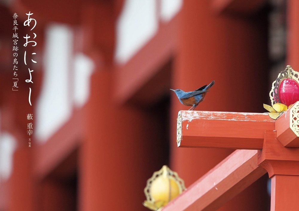 レノックス　庭の鳥　チカディー　二羽　LENOX　7大陸の野生動物　陶器　鳥 レノックス 庭の鳥 チカディー 二羽 LENOX 7大陸の野生動物 陶器