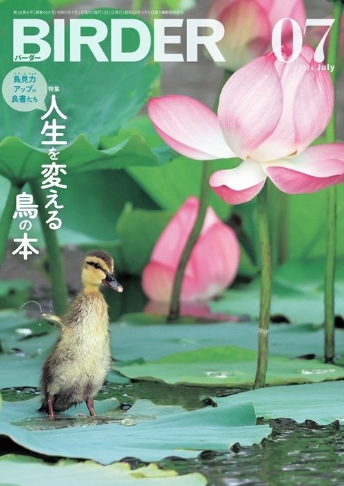 恩顧の人々 (定本 野鳥記) 日本野鳥の会 : 『野鳥』誌バックナンバー 1936年