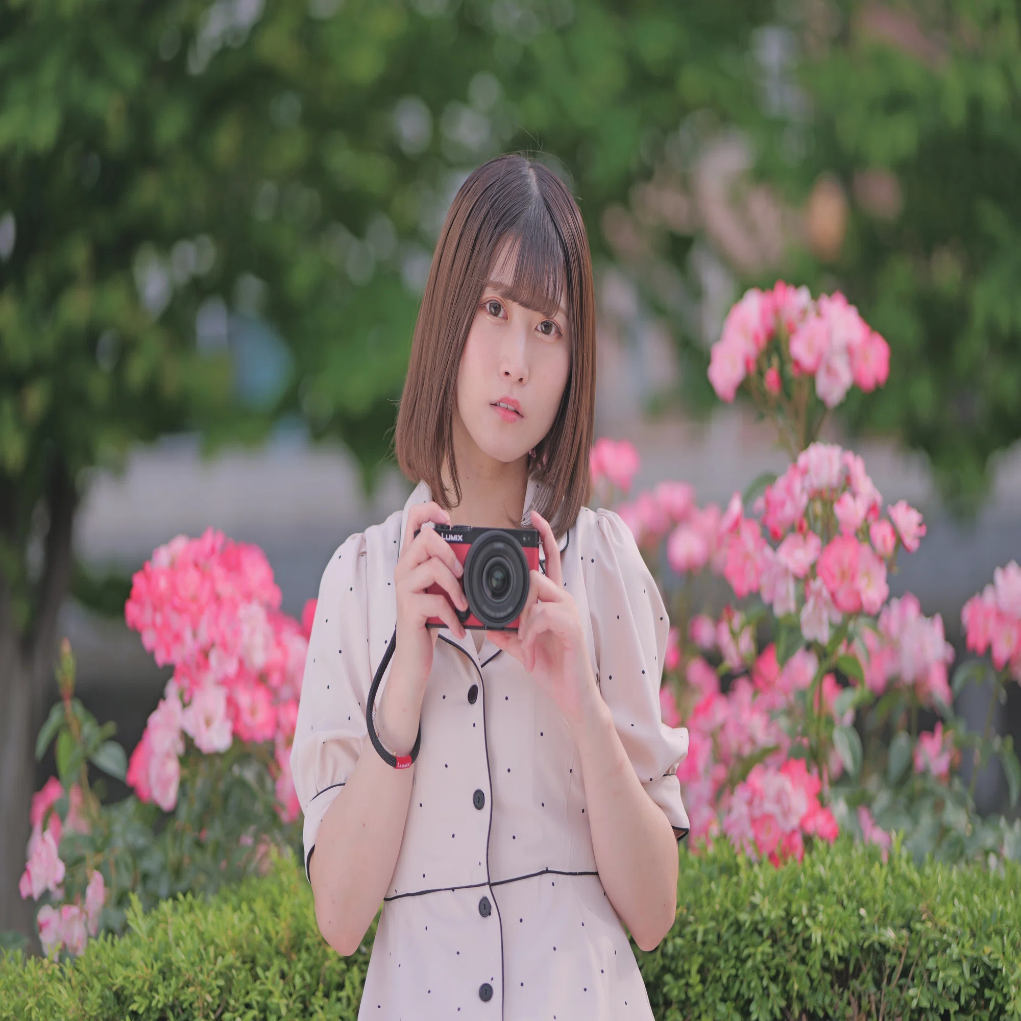 LUMIX S 85mm F1.8 【Photo Journey #02】｜LUMIX Lens Letters