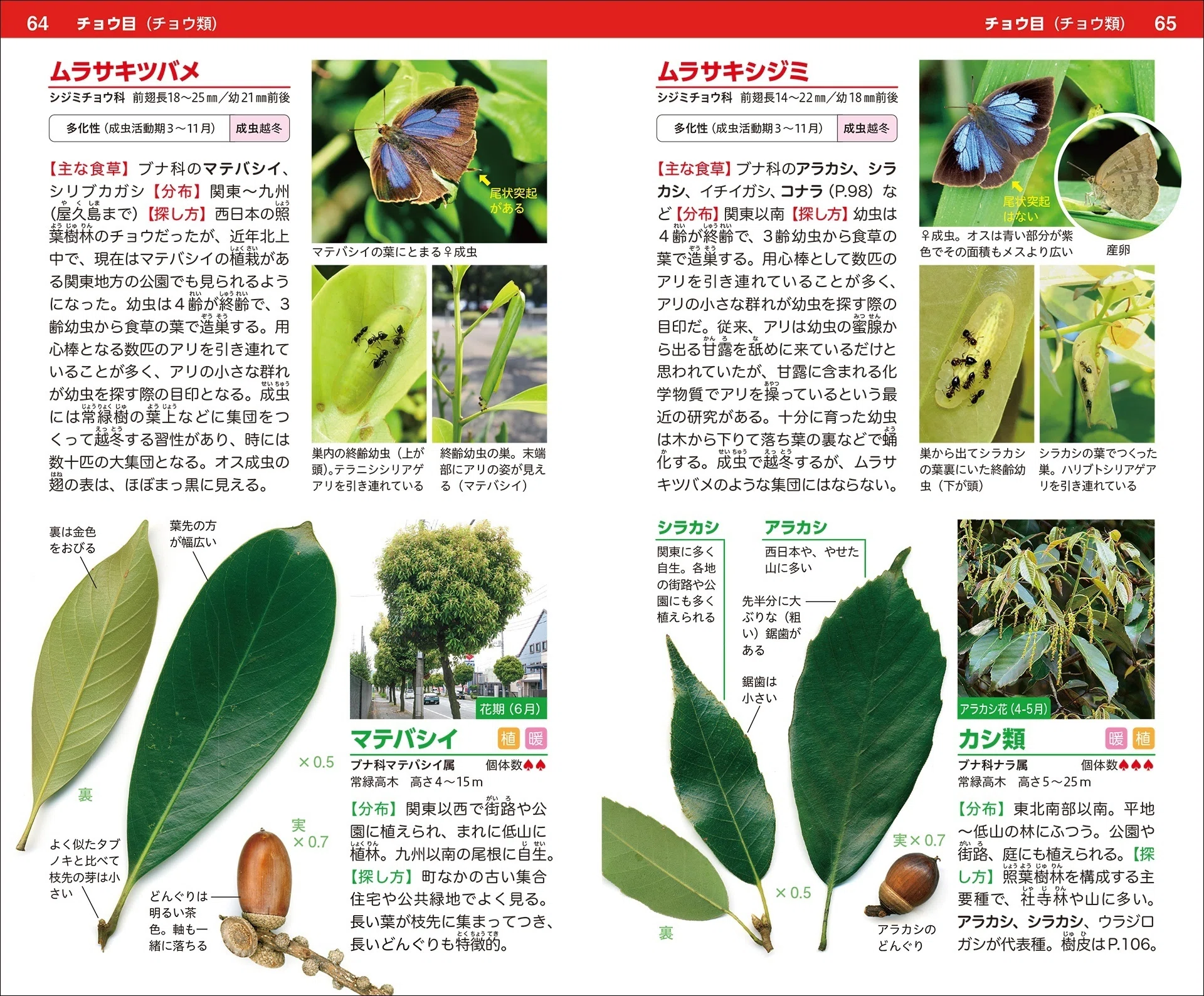 自然観察の楽しさが倍増する二刀流図鑑｜ブンイチ（文一総合出版）