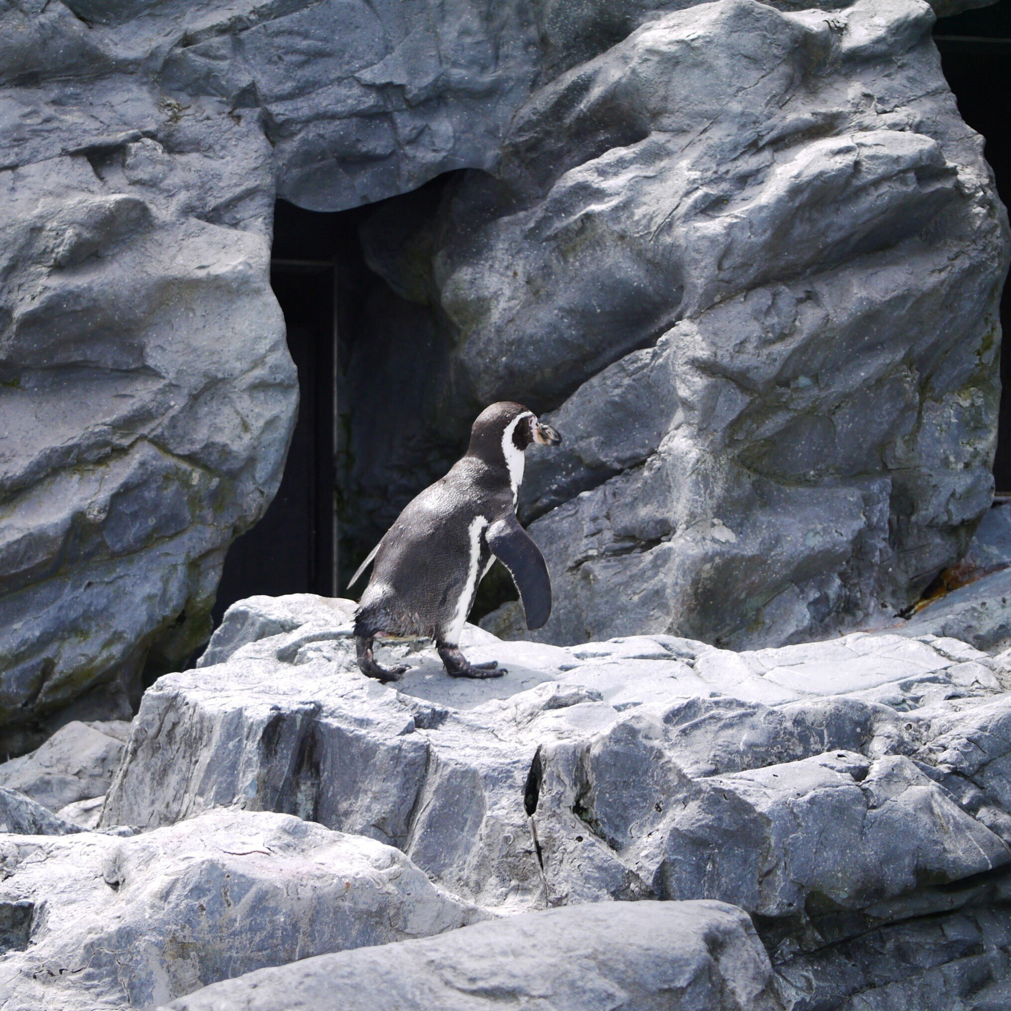 旭日章　置物 1000_F_523443321_m2Hj2HCqWjiqV