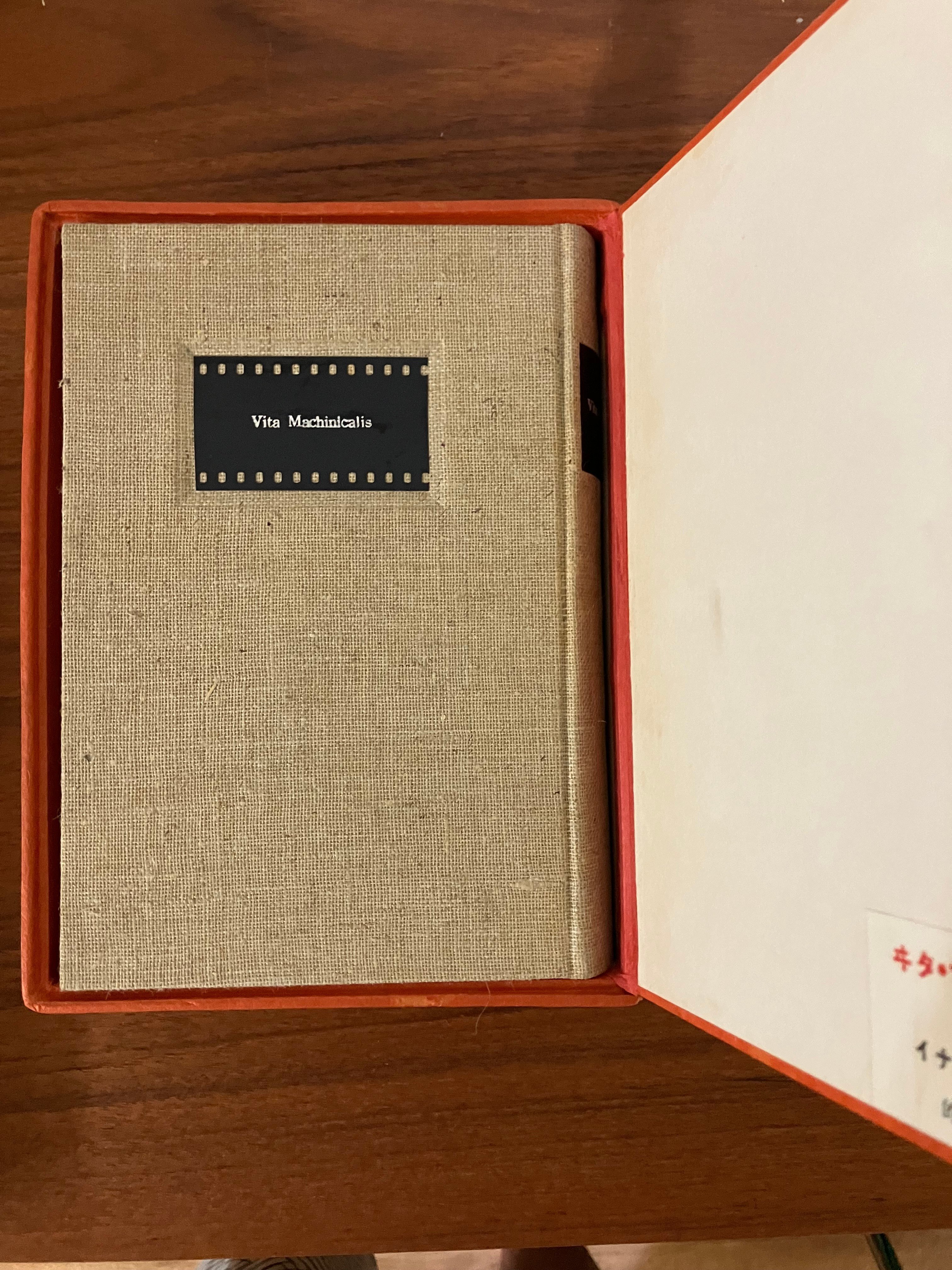 六月の夜のバースディプレゼント｜雪雪