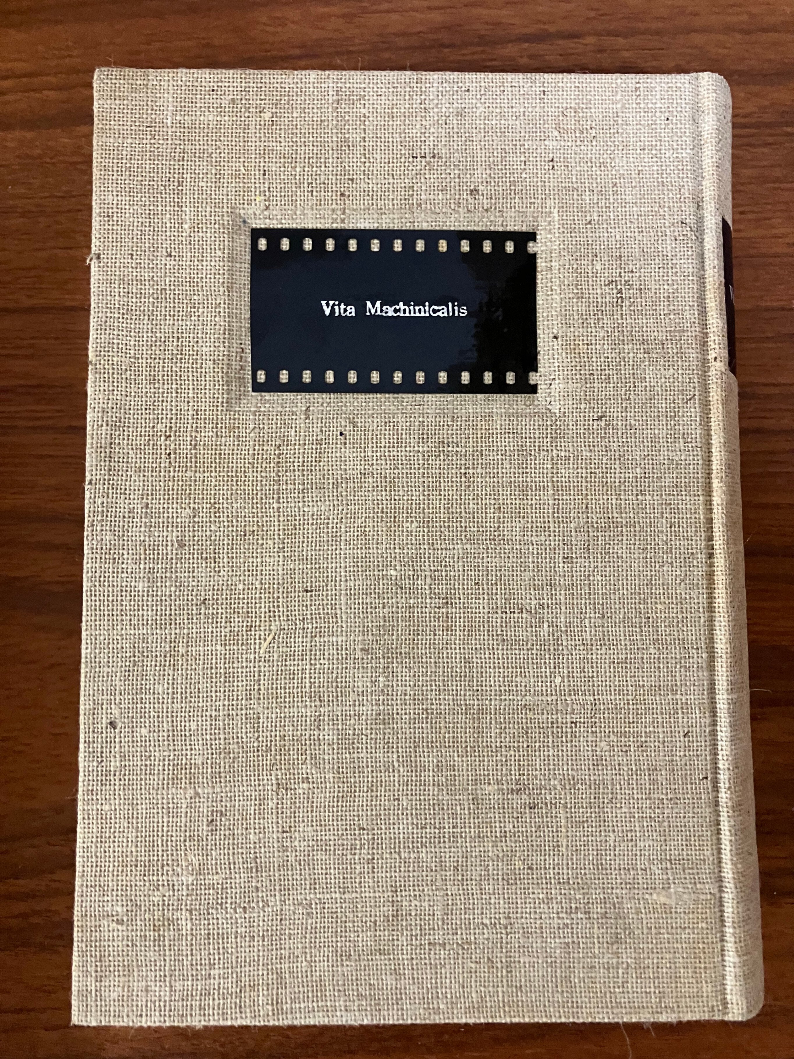 六月の夜のバースディプレゼント｜雪雪