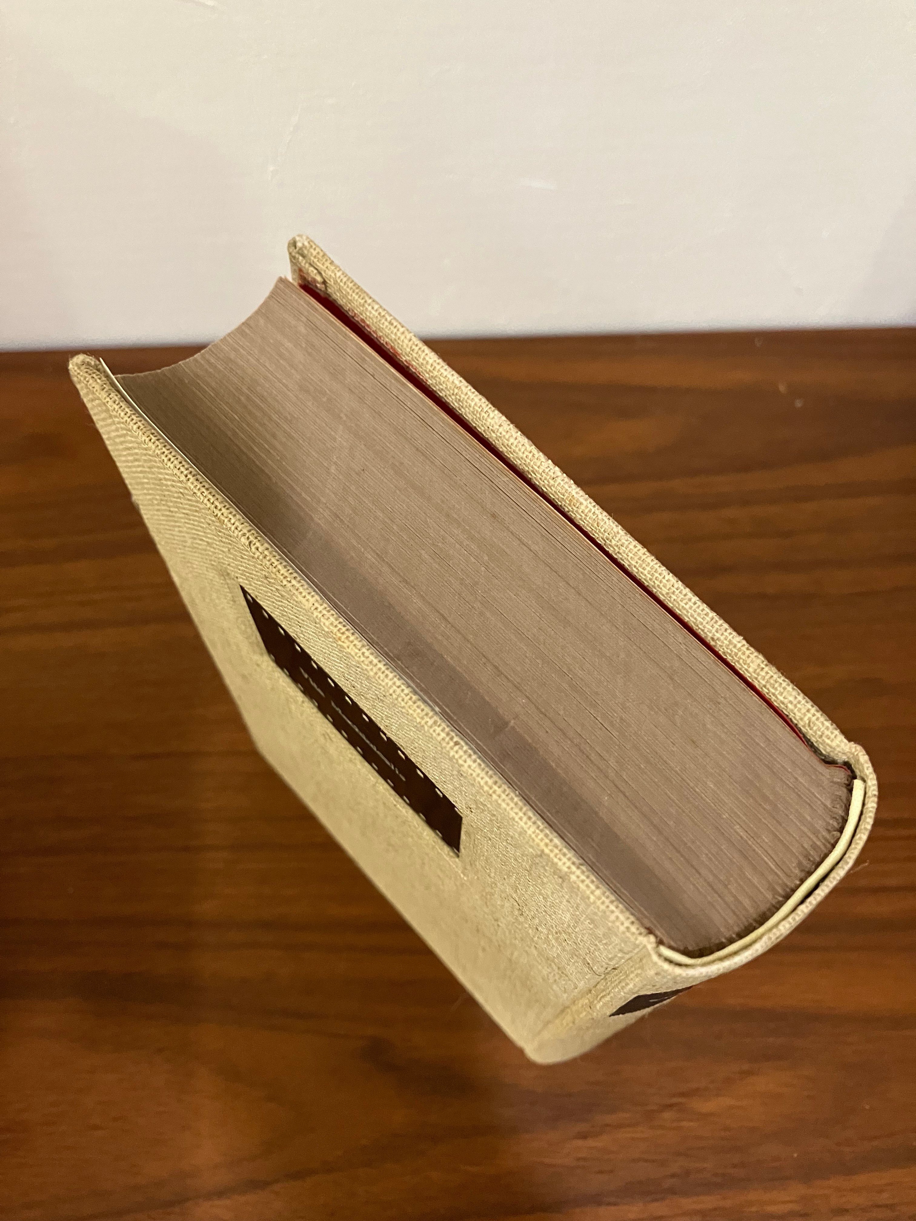 六月の夜のバースディプレゼント｜雪雪