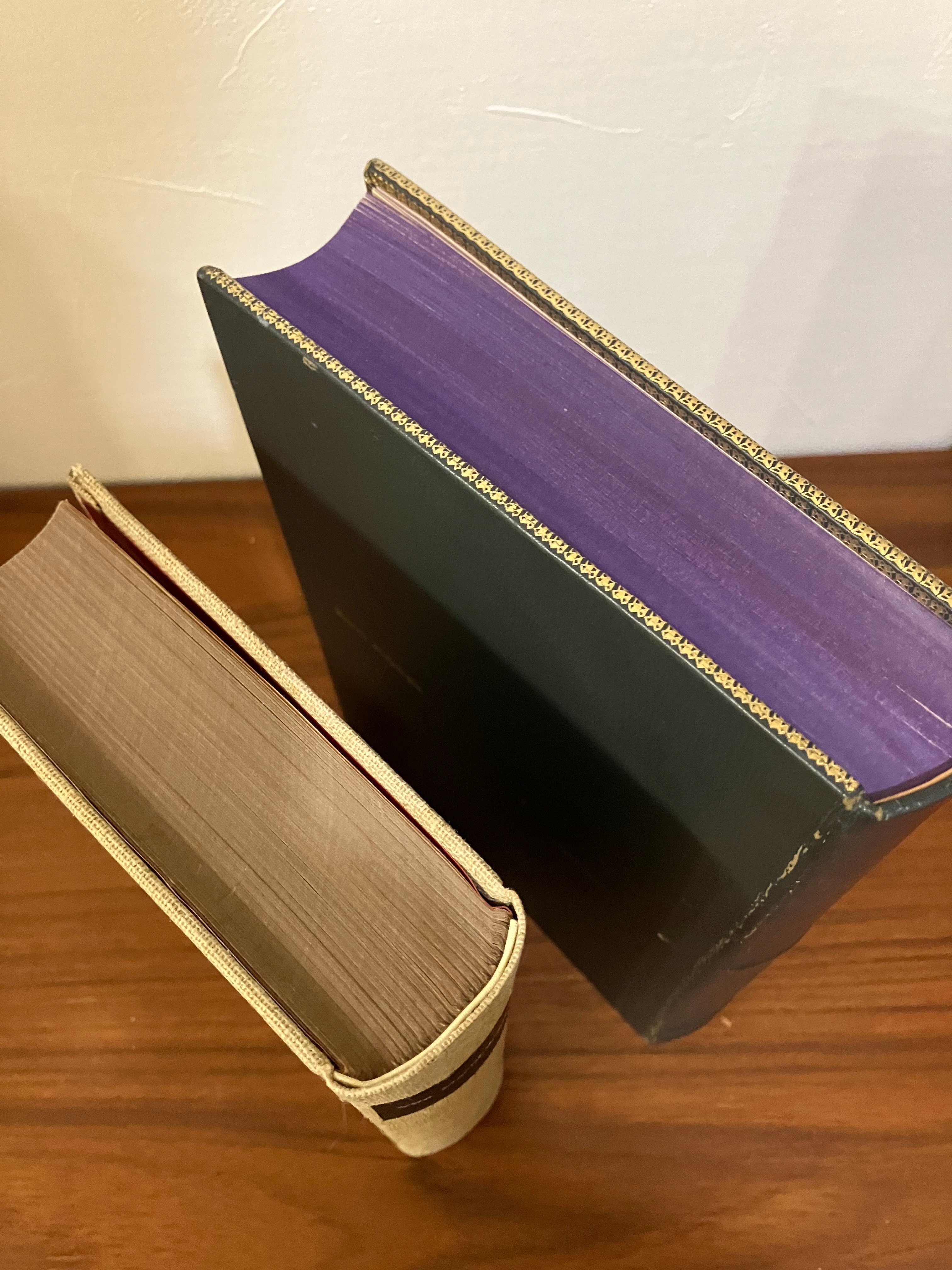 六月の夜のバースディプレゼント｜雪雪