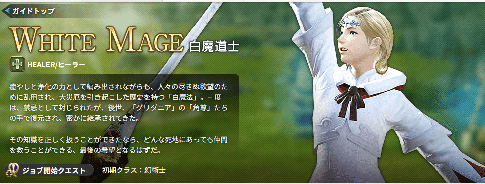 healerの力 魔導石 流れが変わる healerの力 魔導石 流れが変わる