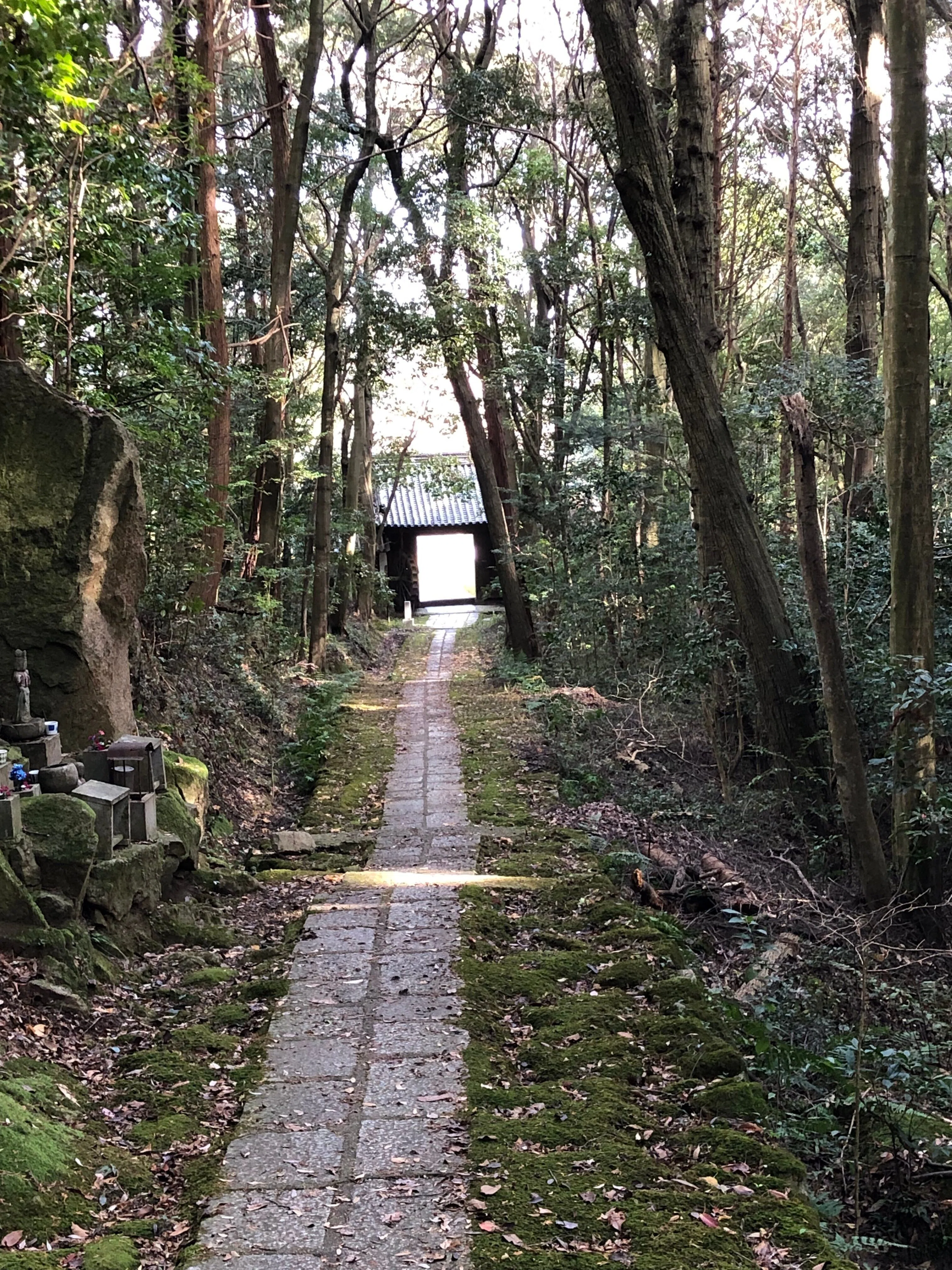 🔶私の好きな奈良：王龍寺 静謐な森で歴史を見つめた古刹｜あやさま奈畝