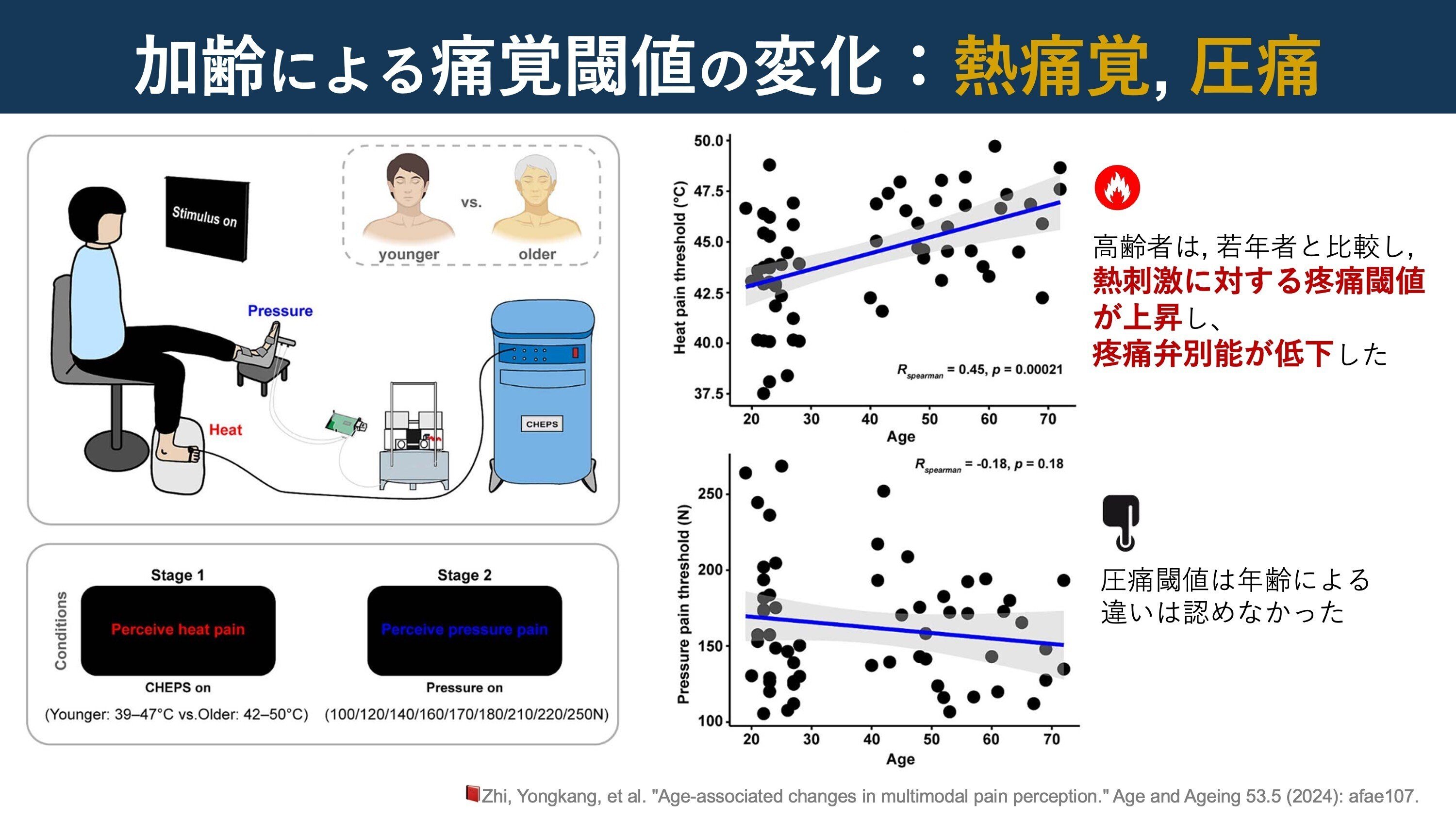 高齢者理学療法学 高齢者理学療法学テキスト（改訂第2版）: 教科書／南江堂