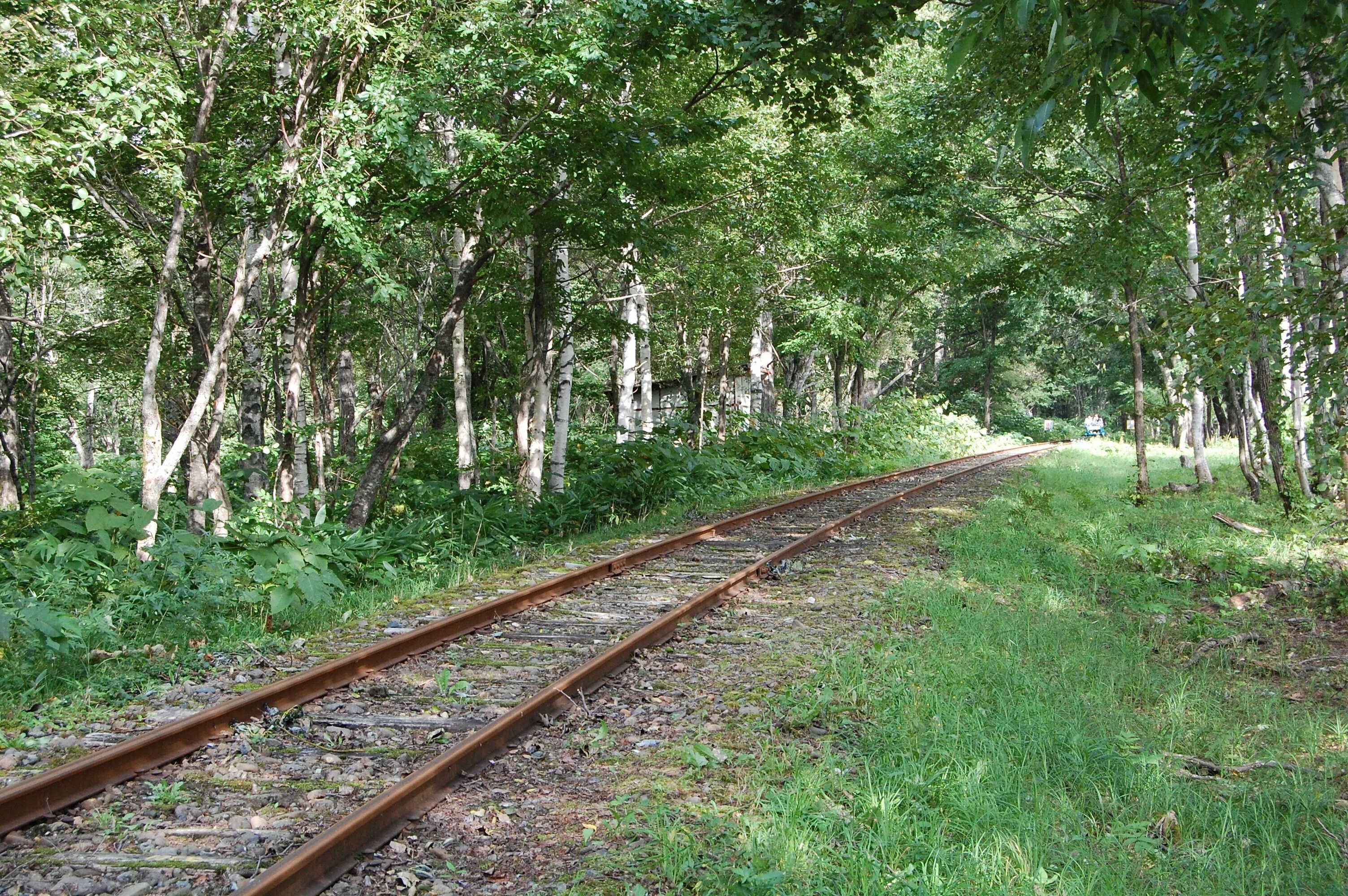 北海道の廃線跡探訪 第52回 美幸線（2/2）辺渓～仁宇布間｜熊鉄