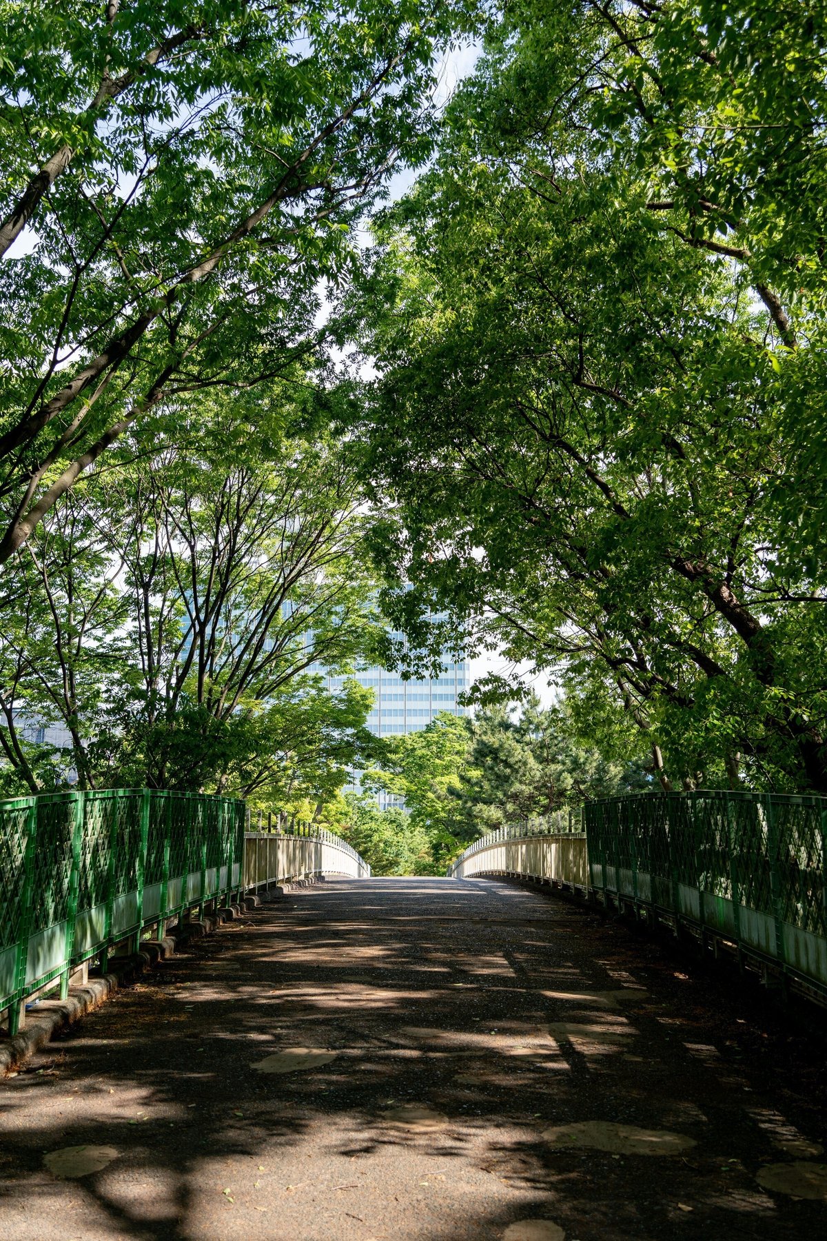 木のトンネルの中にかかっている代々木公園の橋