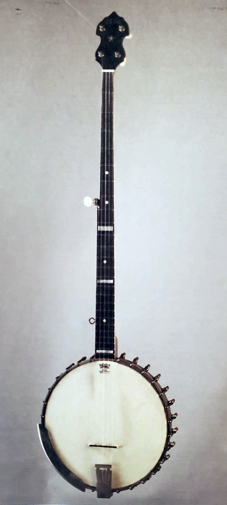 上品なスタイル Vega Long Neck Banjo 第2回｜アコハモ・マスター 弦楽器