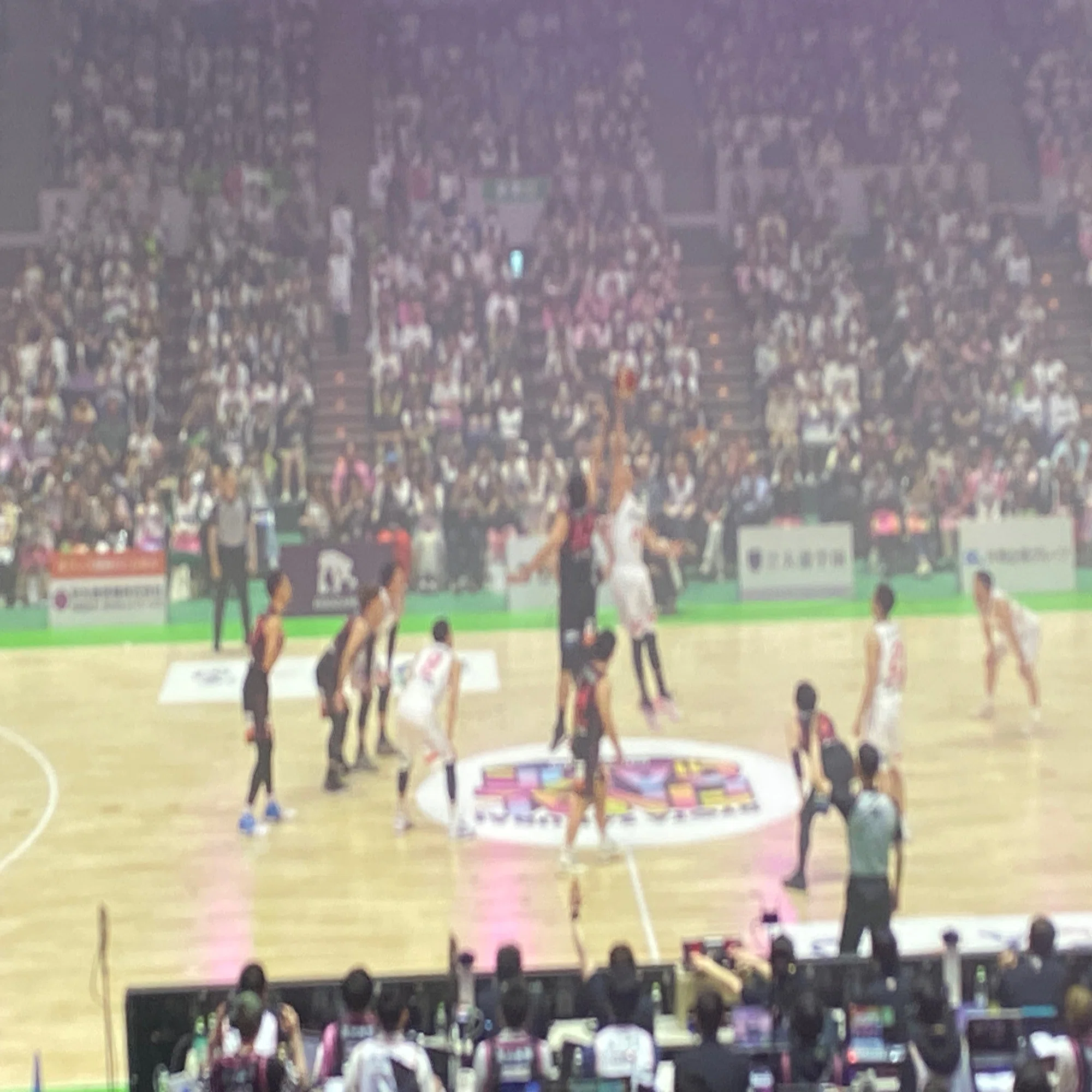RYOTA SAKURAI FINAL GAME」｜島田慎二