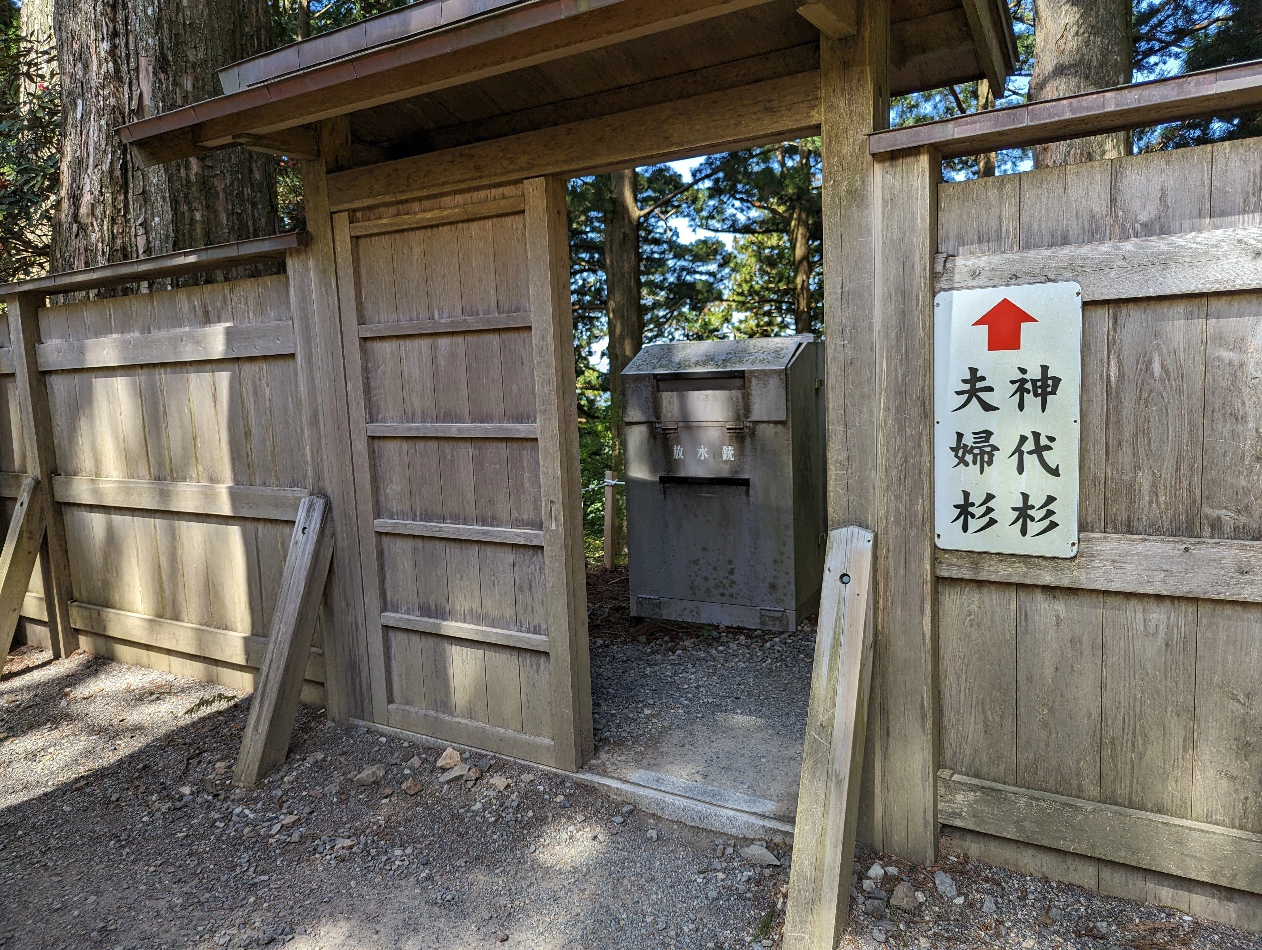 熊野滞在日記③～シャクナゲ満開の玉置神社｜さりー