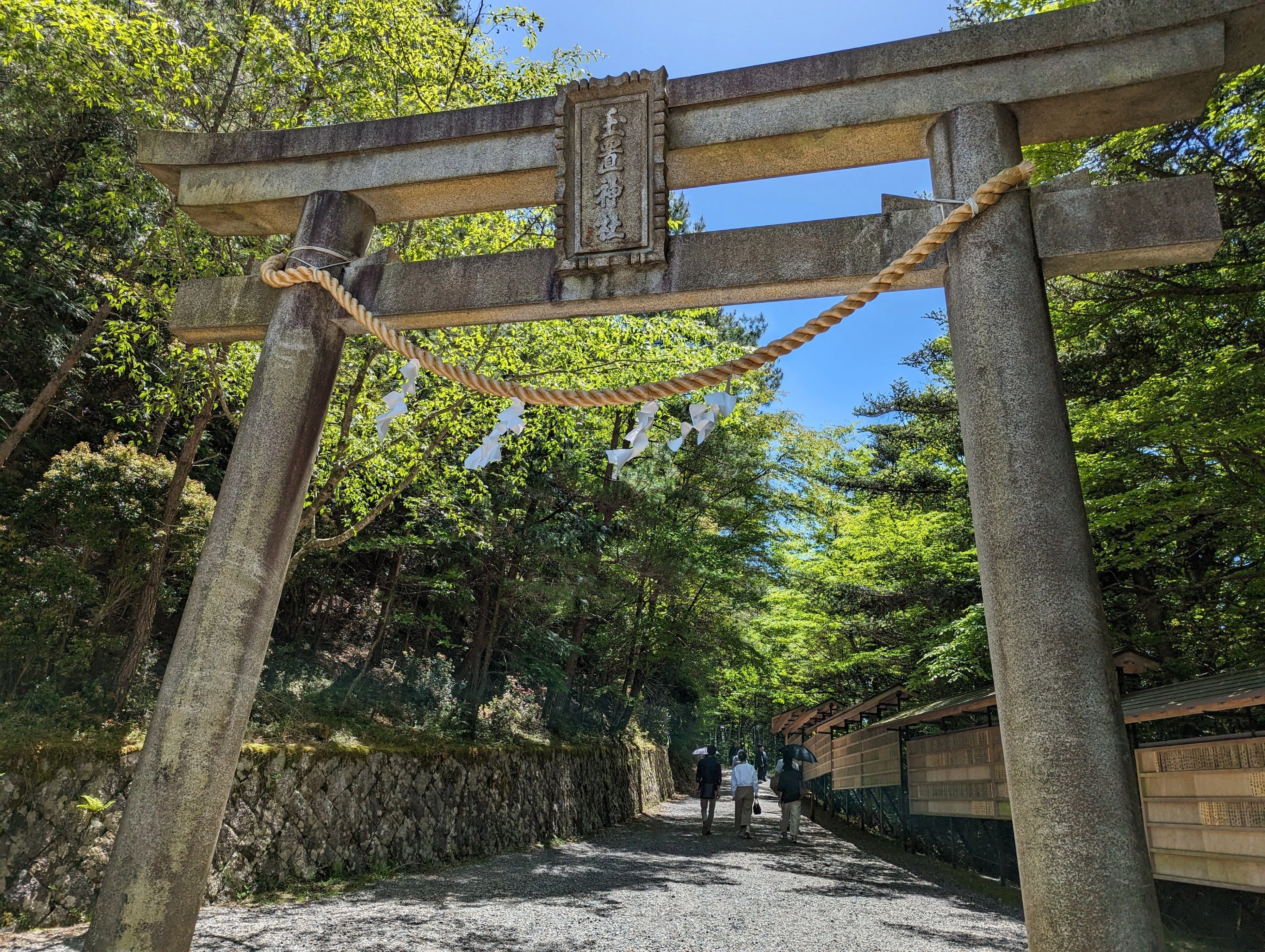 熊野滞在日記③～シャクナゲ満開の玉置神社｜さりー