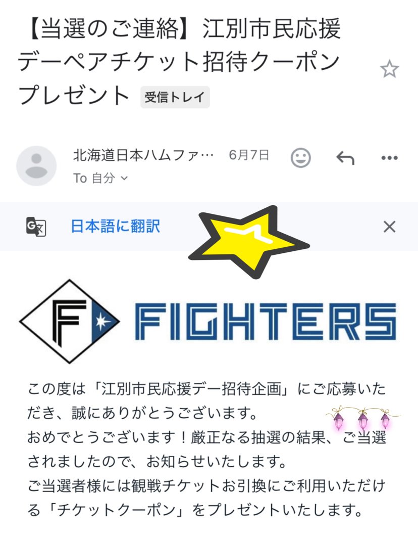 ファイターズ観戦ペアチケット(かなはは様専用) 【公式通販】