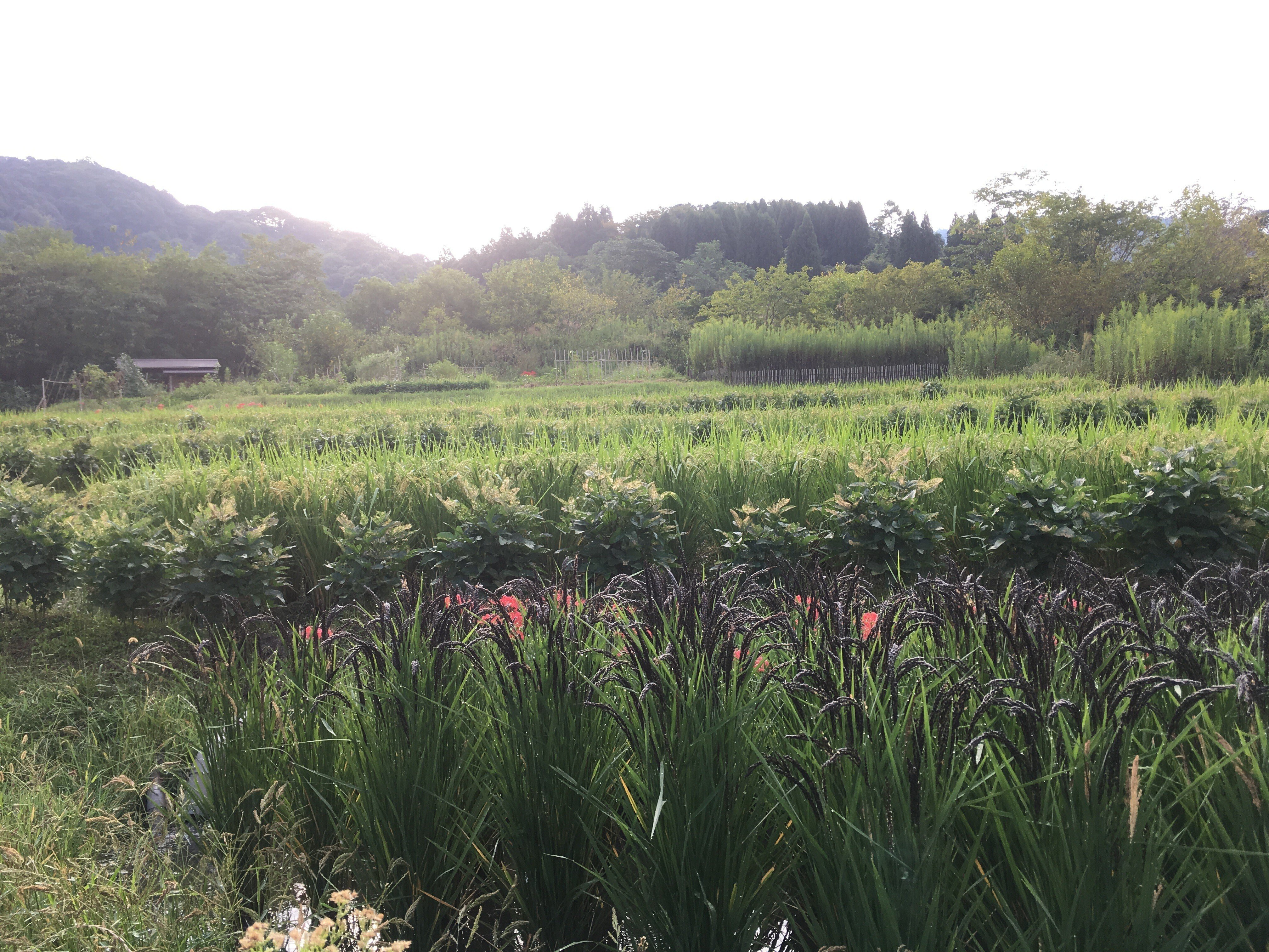 川口由一さん〈前編〉 vol.1 〜愛（うつく）しい人｜makiLilia