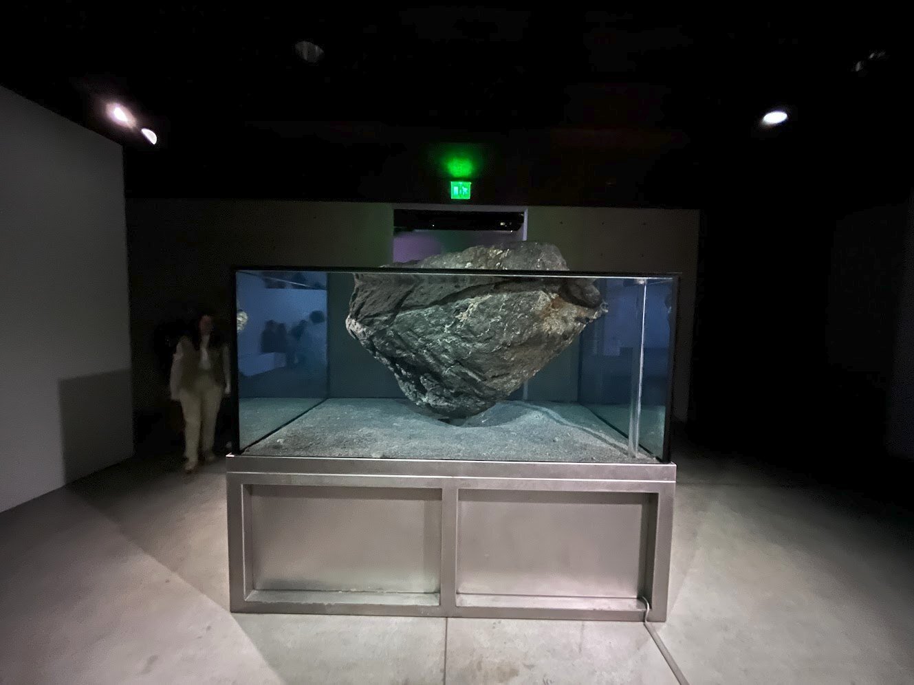 Pierre Huyghe Liminal｜Tsutomu Saito