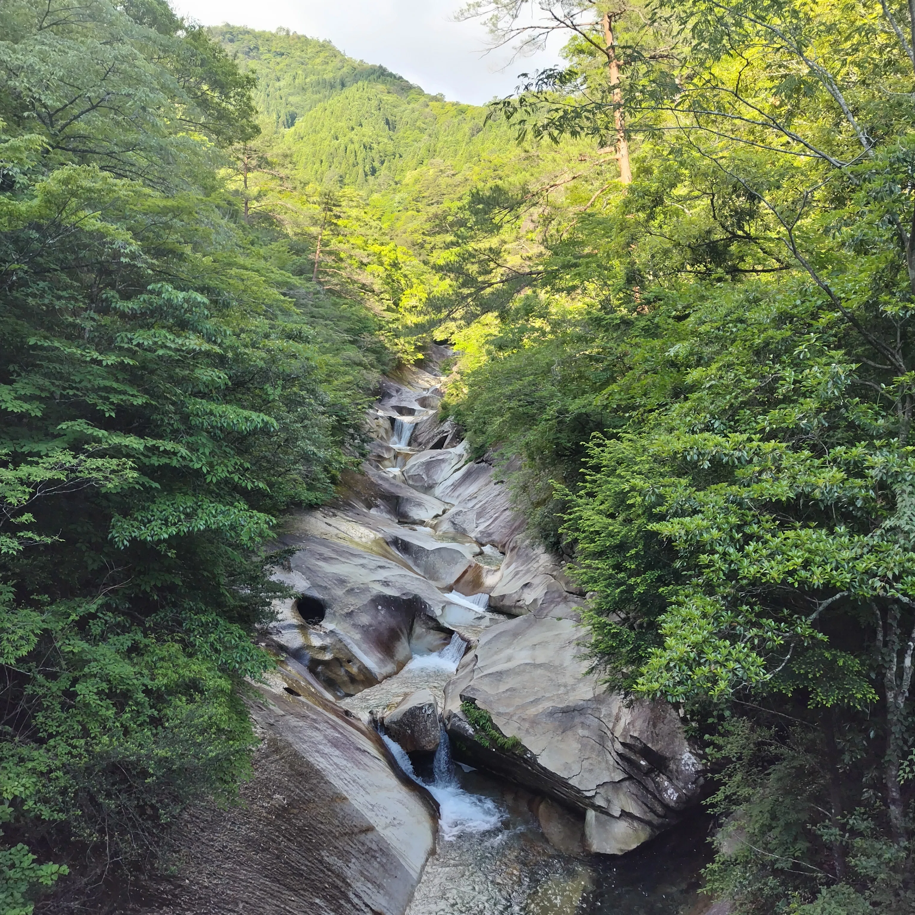 九州名山一筆書き（祖母山・阿蘇山・久住山・由布岳）2024.6/3～6/8