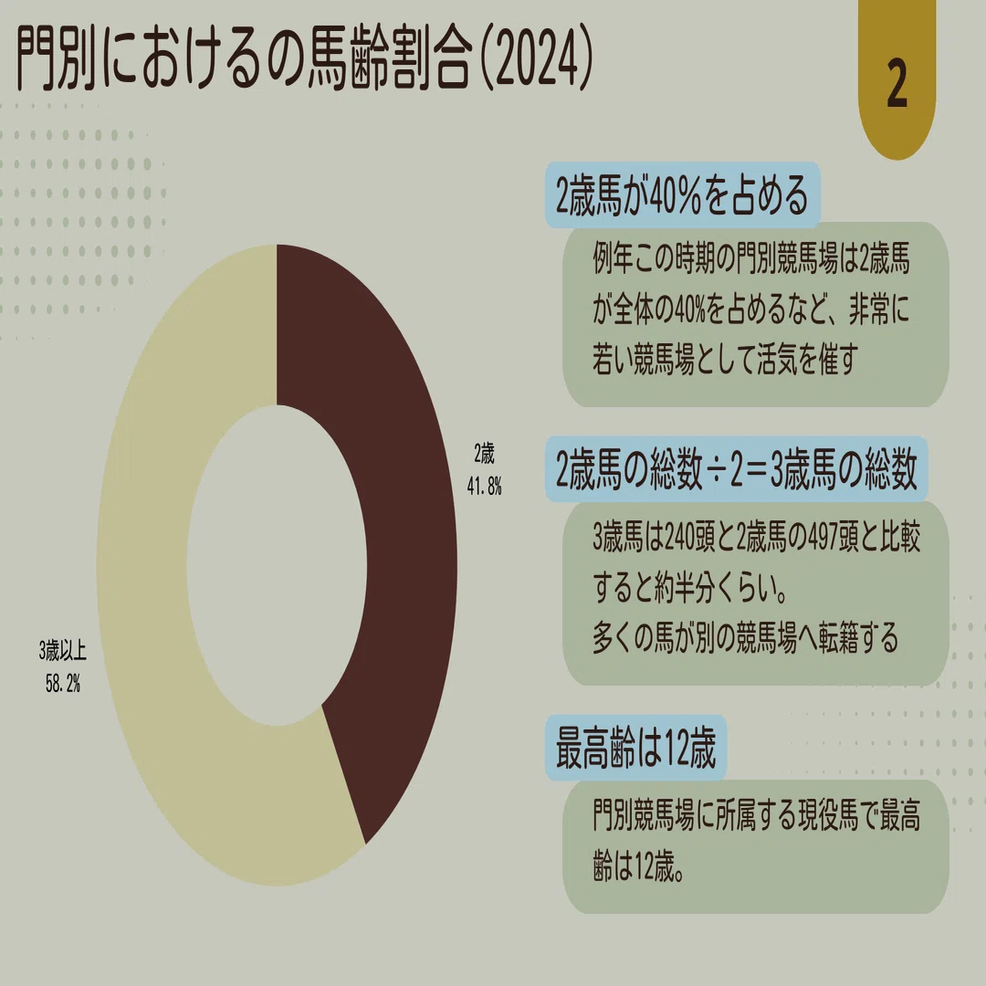地方競馬研究】2024年スタートダッシュを決めた種牡馬編｜shironi@地方