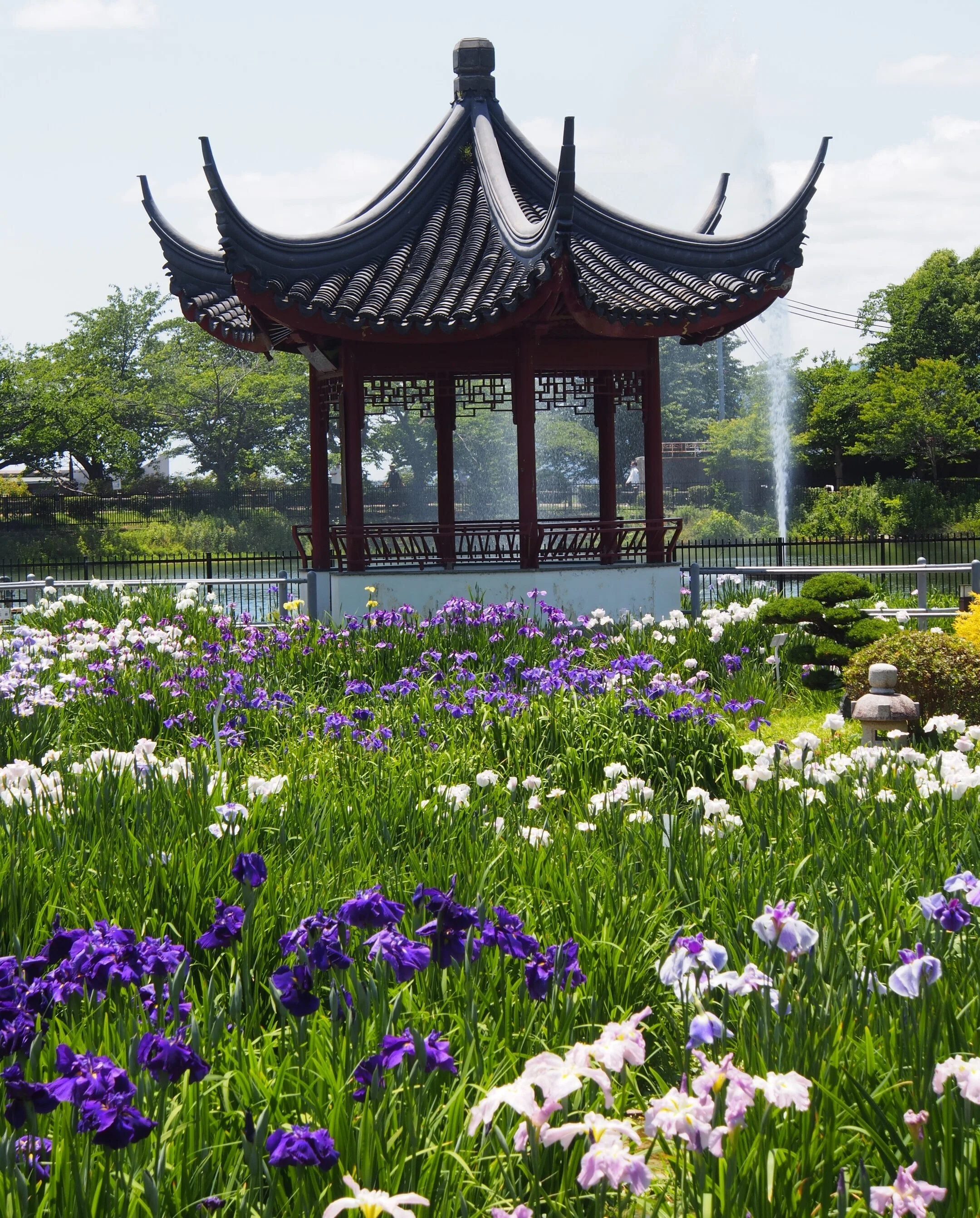 花池 町田薬師池公園 | 東京とりっぷ