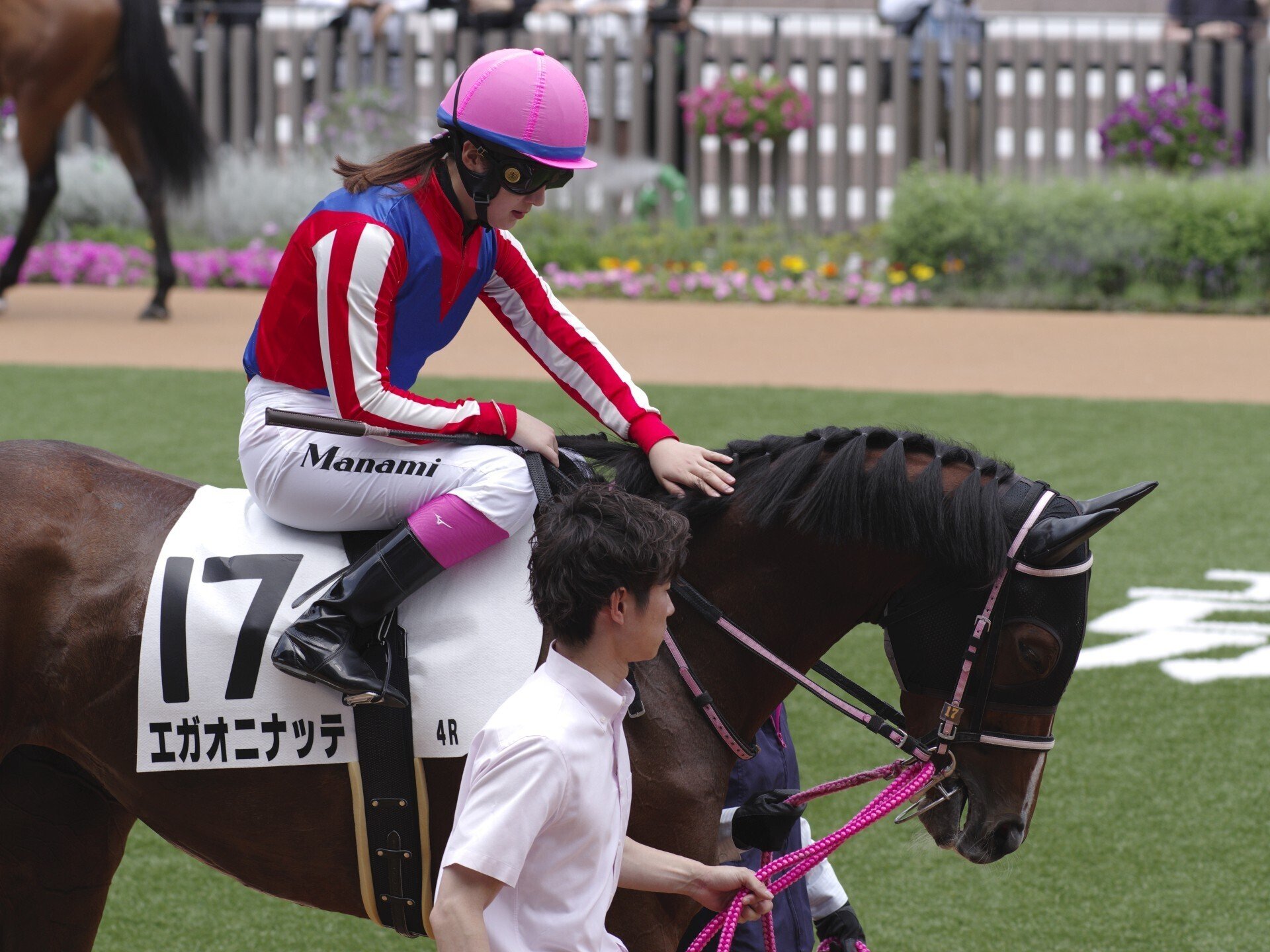 2178❣️ 瑪瑙　馬　唐馬　戦闘馬 改装後初京都競馬 (J limited 01 / smc PENTAX-DA☆200mmF2.8