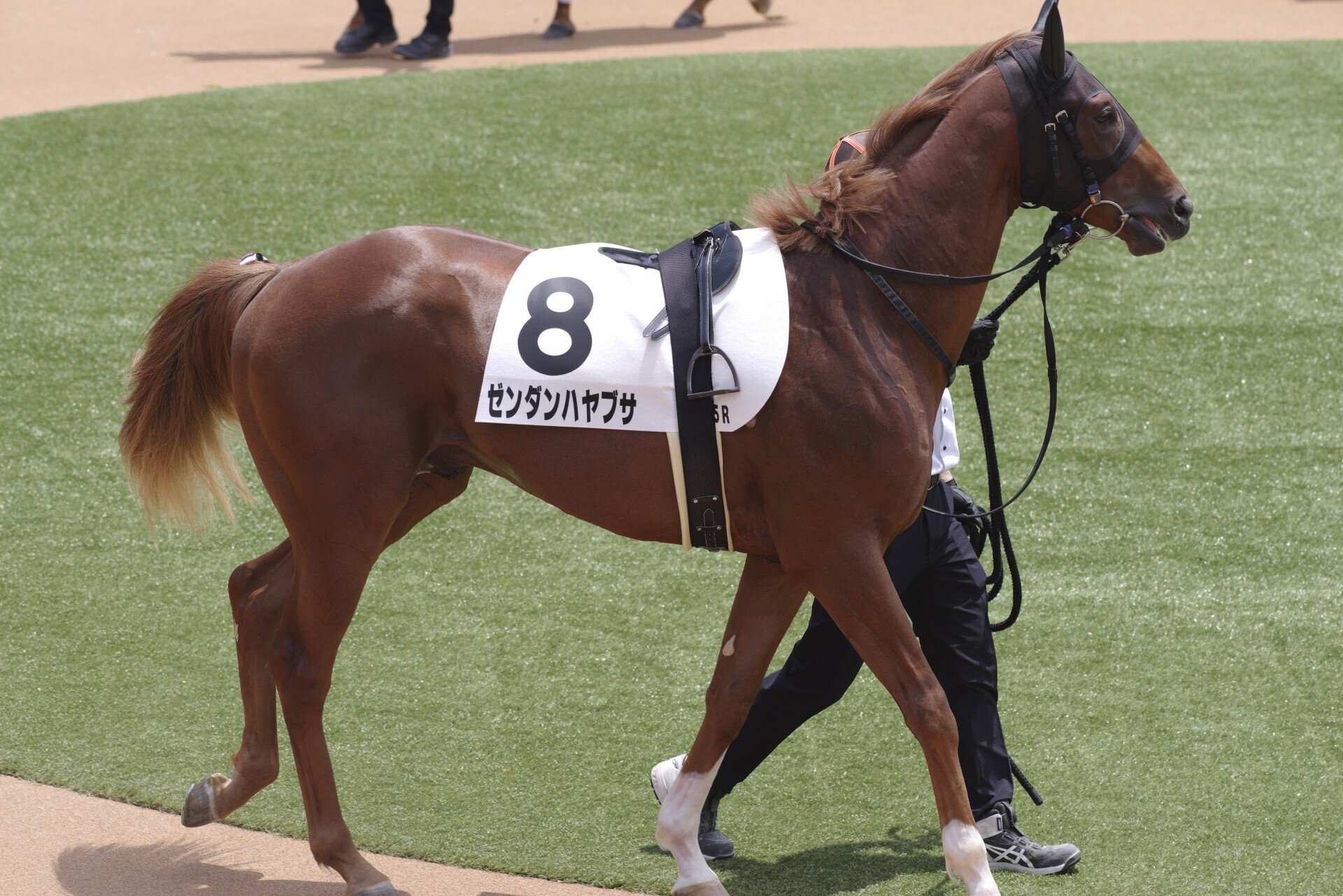 改装後初京都競馬 (J limited 01 / smc PENTAX-DA☆200mmF2.8