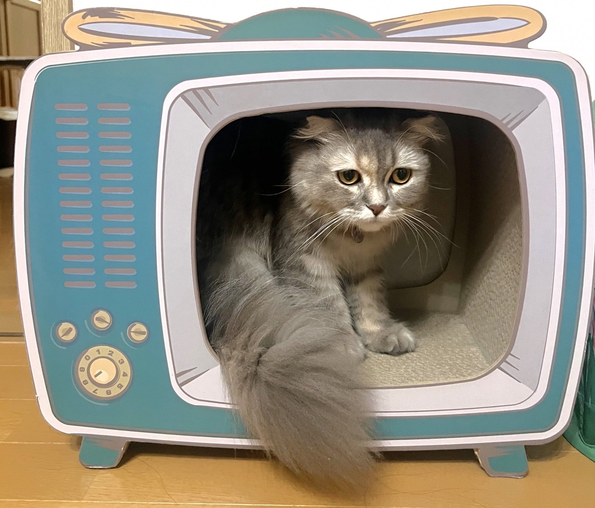 foxL けっ V2 スピーカー(Bluetooth非対応) foxL けっ V2 スピーカー(Bluetooth非対応)
