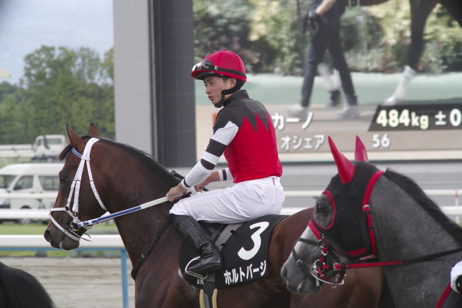 良血アメリカンビキニが2歳レコード更新 半姉は1週前の初勝利