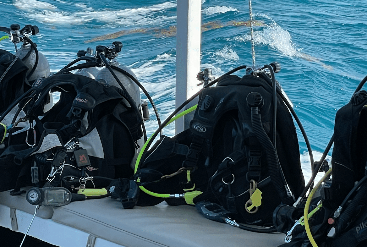 ダイビング器材購入の疑問に答えます｜さくつゆ