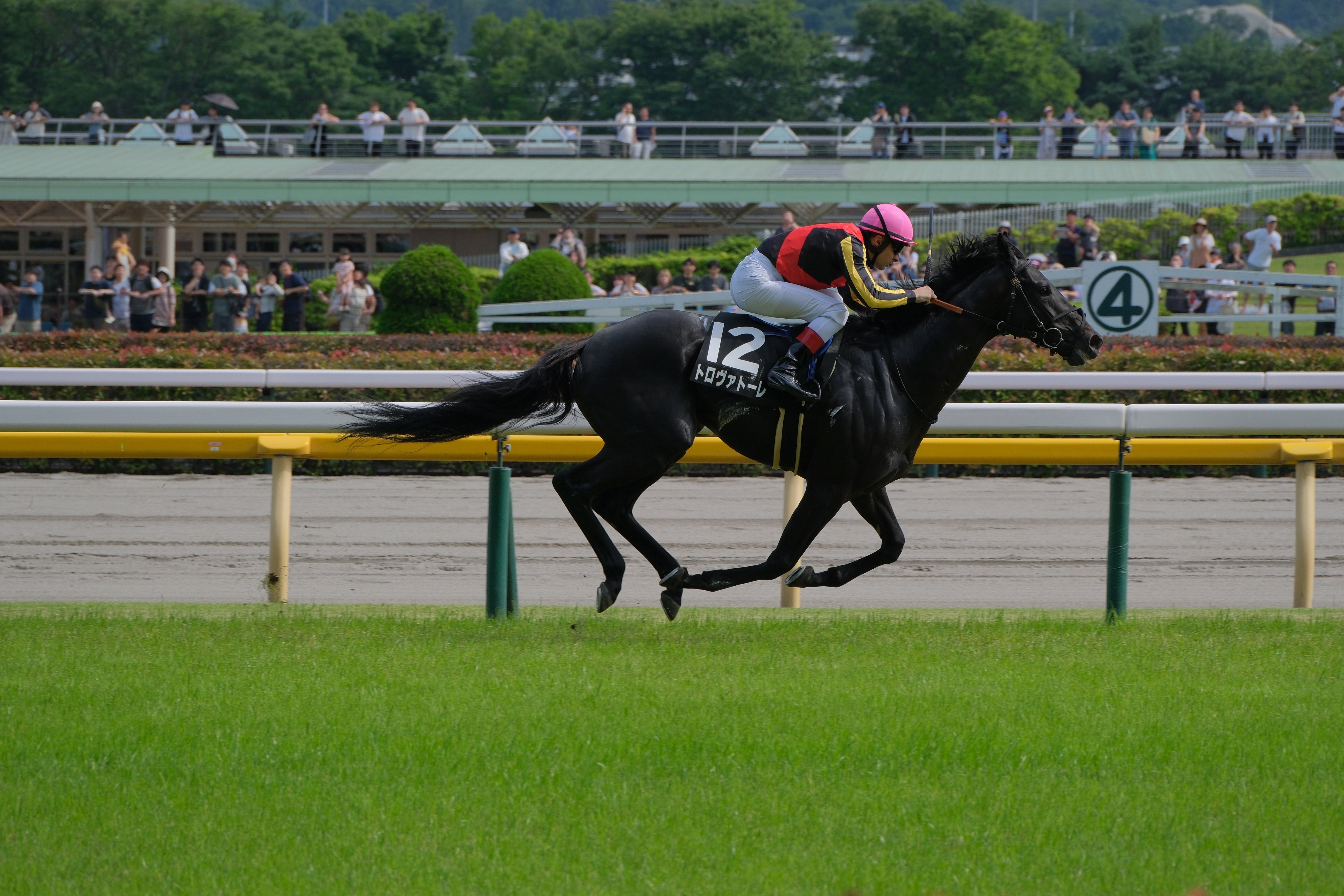 競馬 佐賀・サマーチャンピオン】岩田望「すごい勝負強さ見せた」ヤマニン