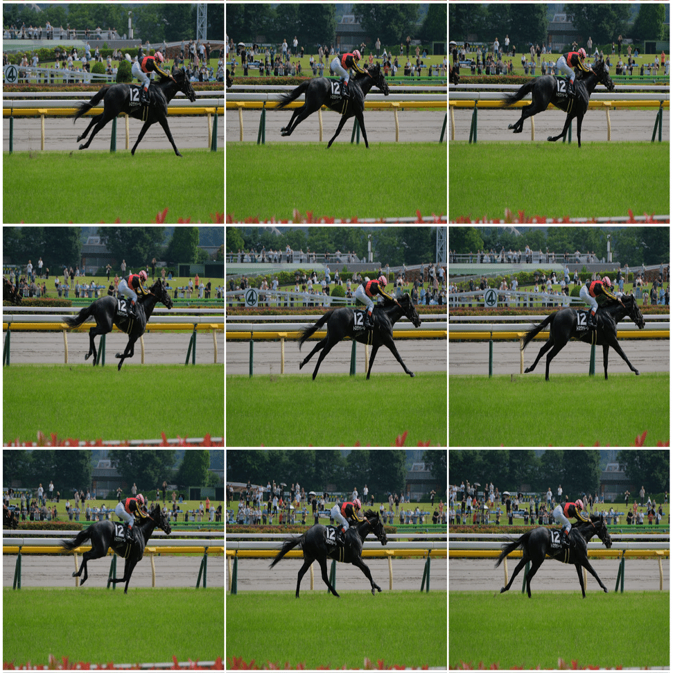 FUJIFILM X-H2S を使って競馬を撮影しました｜高田 晴彦