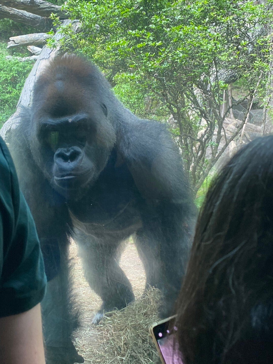 出品期間12/25迄【おまけ3点付】プロケージ60/フード•牧草入/空中トンネル 3点セット付】うさぎのしっぽ プロケージ60/フード•牧草入れ/空中