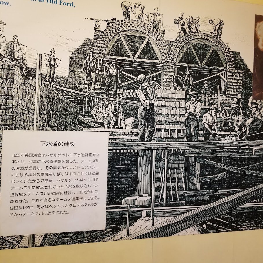 イチジク浣腸共同海岸 