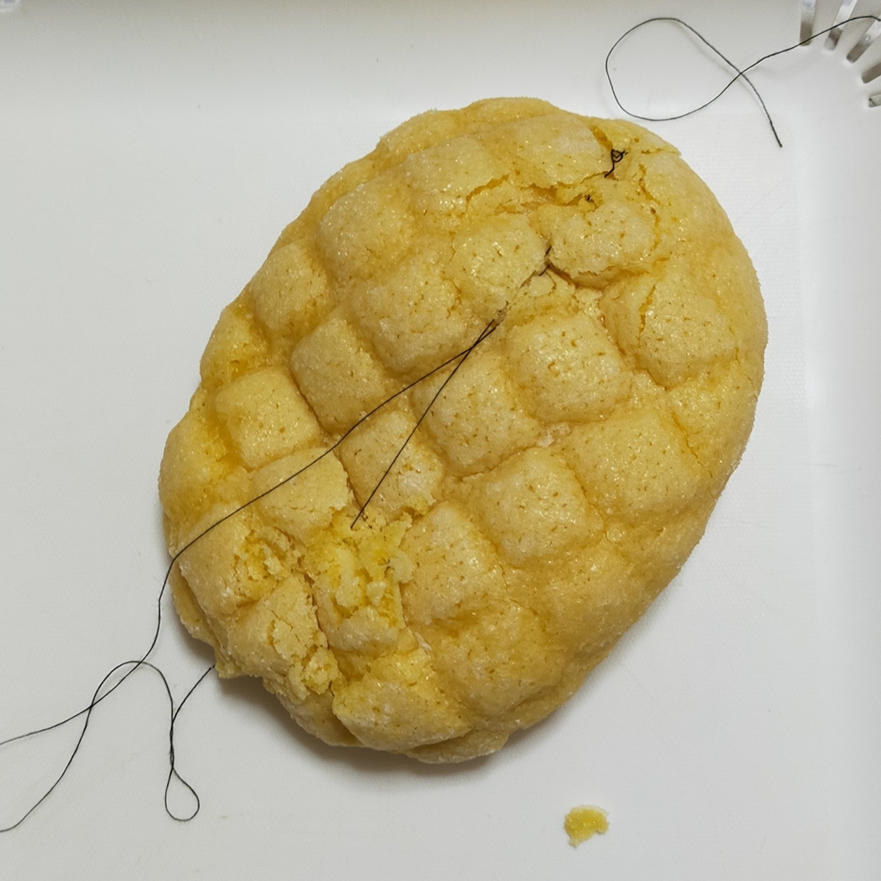 ♥今週のはんぶんこ占い (ɔ ˘⌣˘)˘⌣˘ c)♥「パンの田島 コッペ